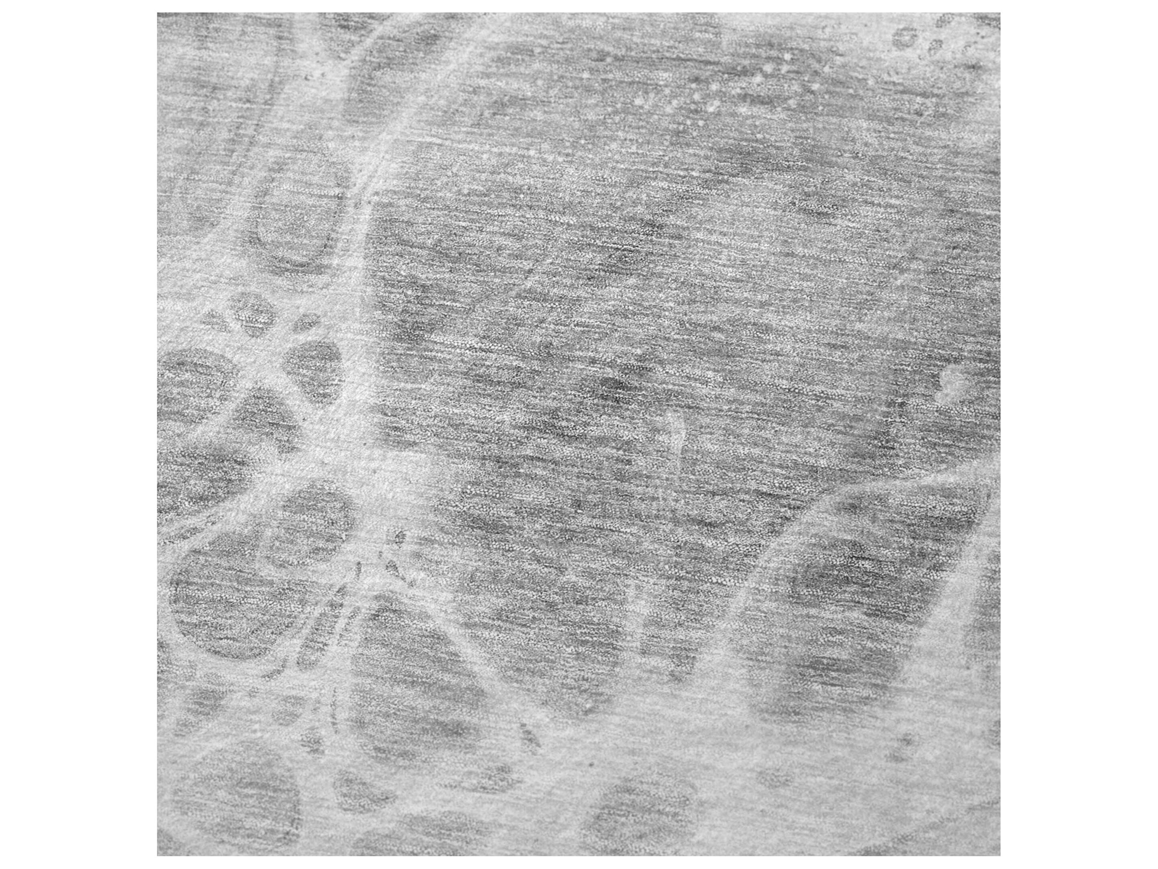 Dalyn Sherpa Gray Polyester Throw