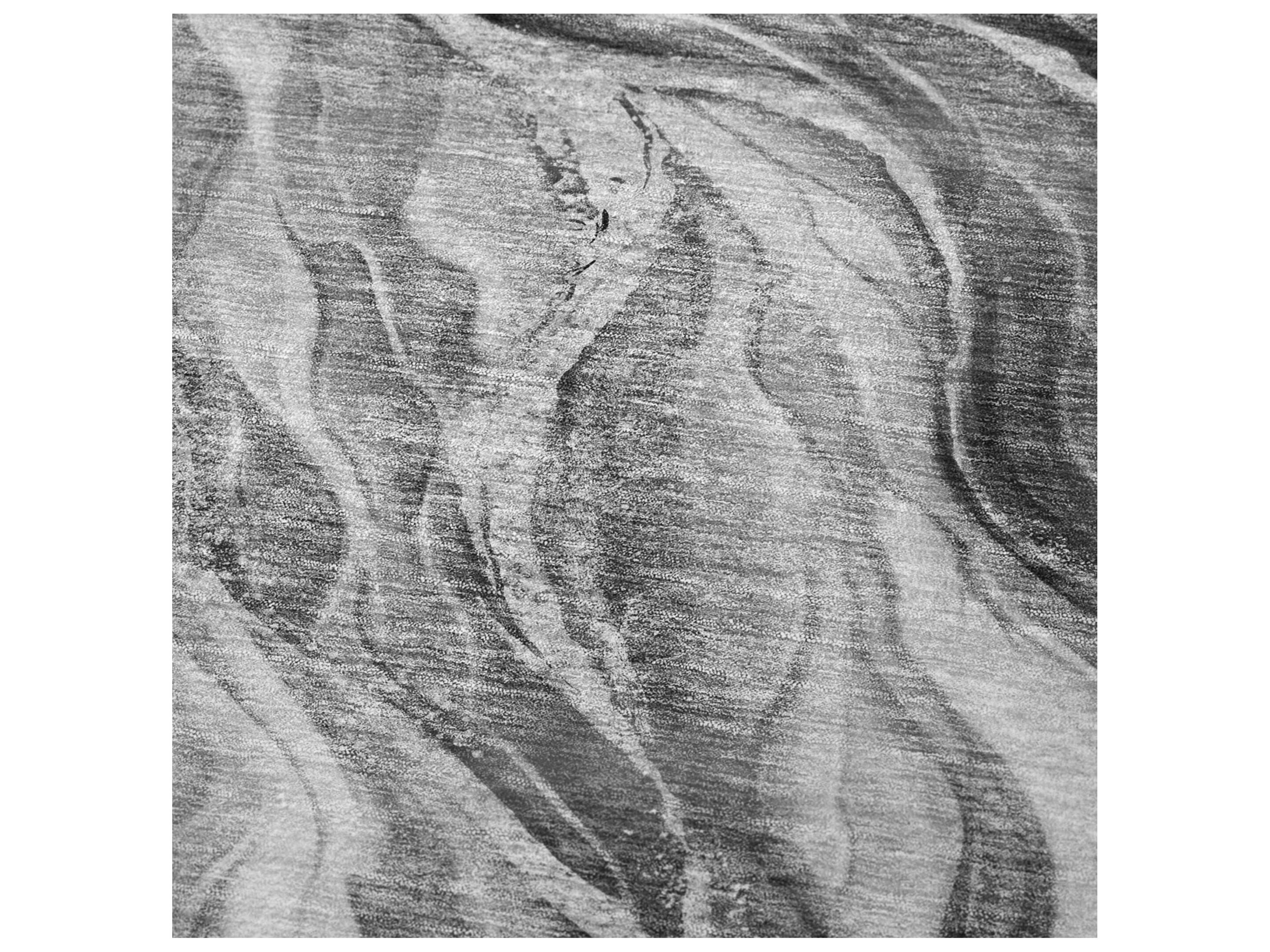 Dalyn Sherpa Gray Polyester Throw