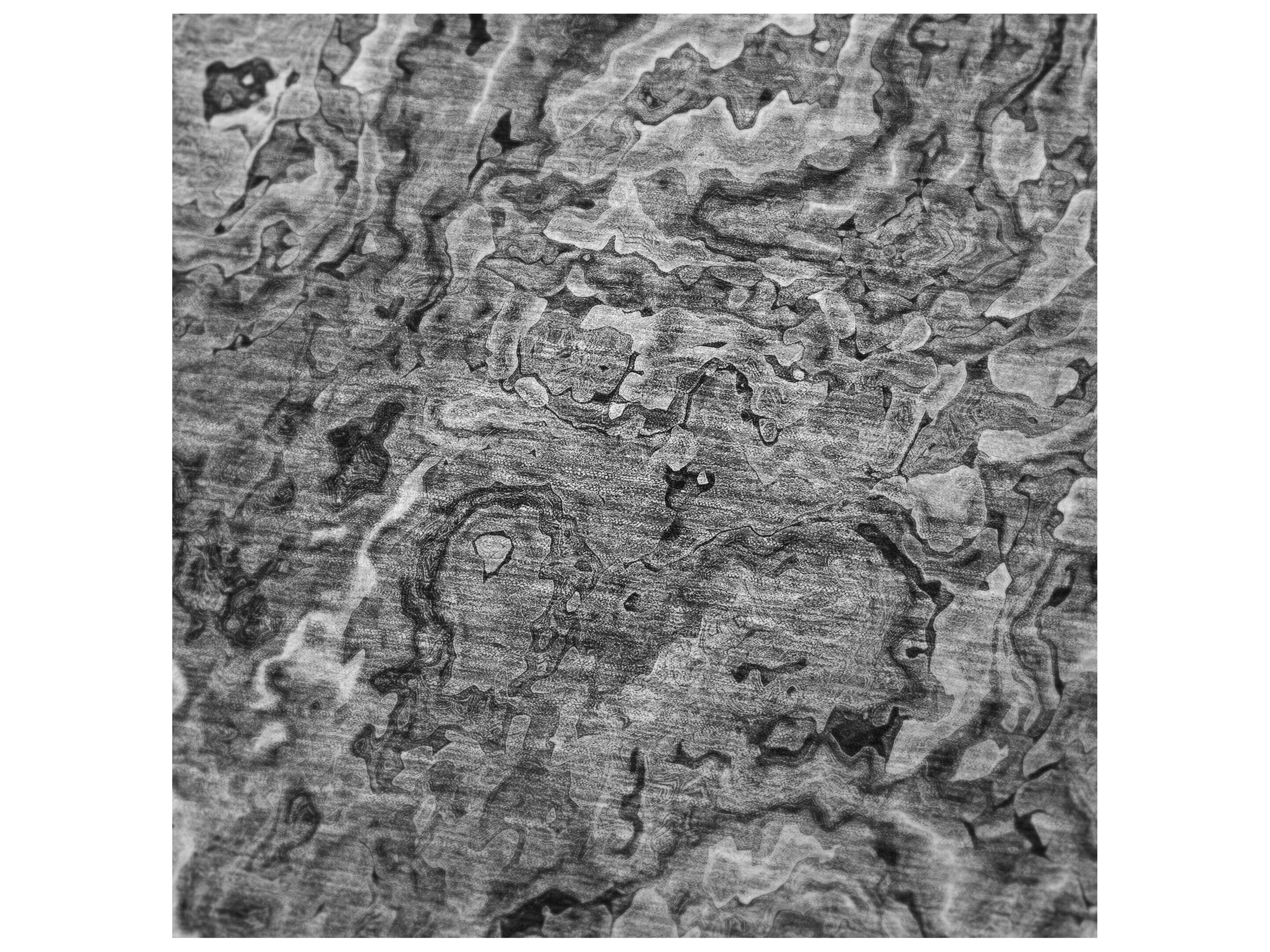 Dalyn Sherpa Gray Polyester Throw