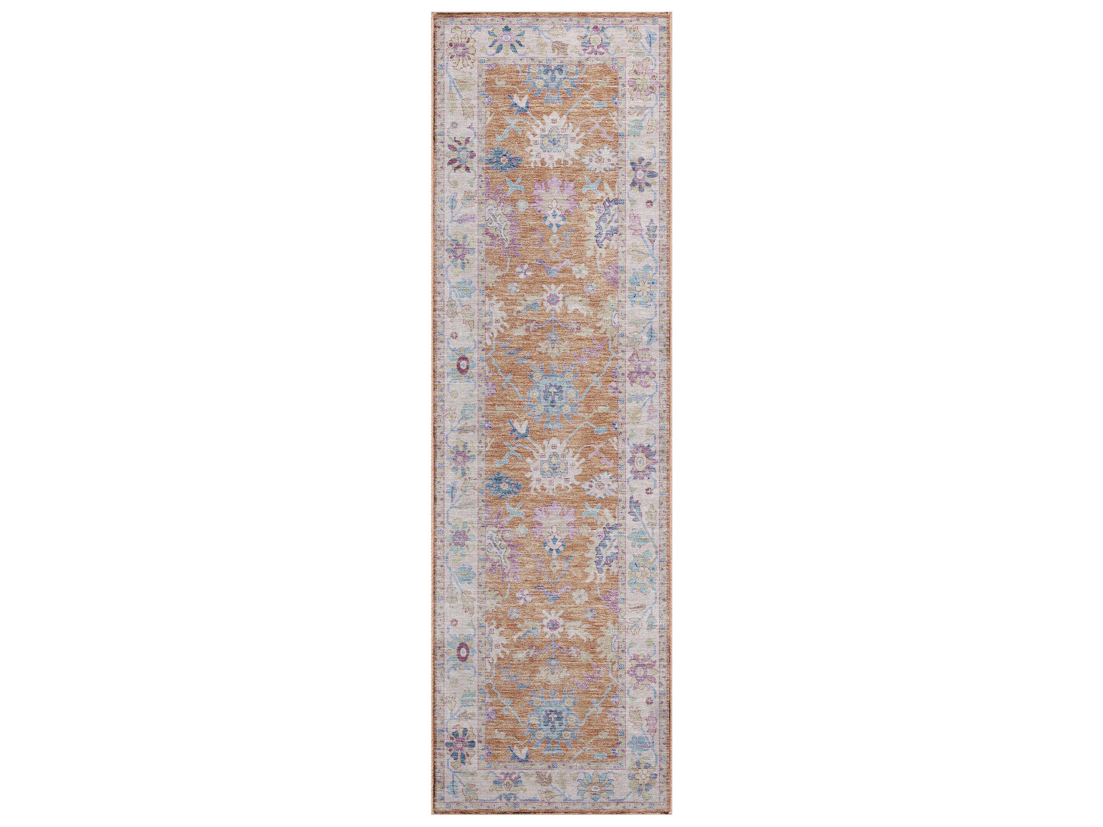 Hatay Bordered Runner Area Rug