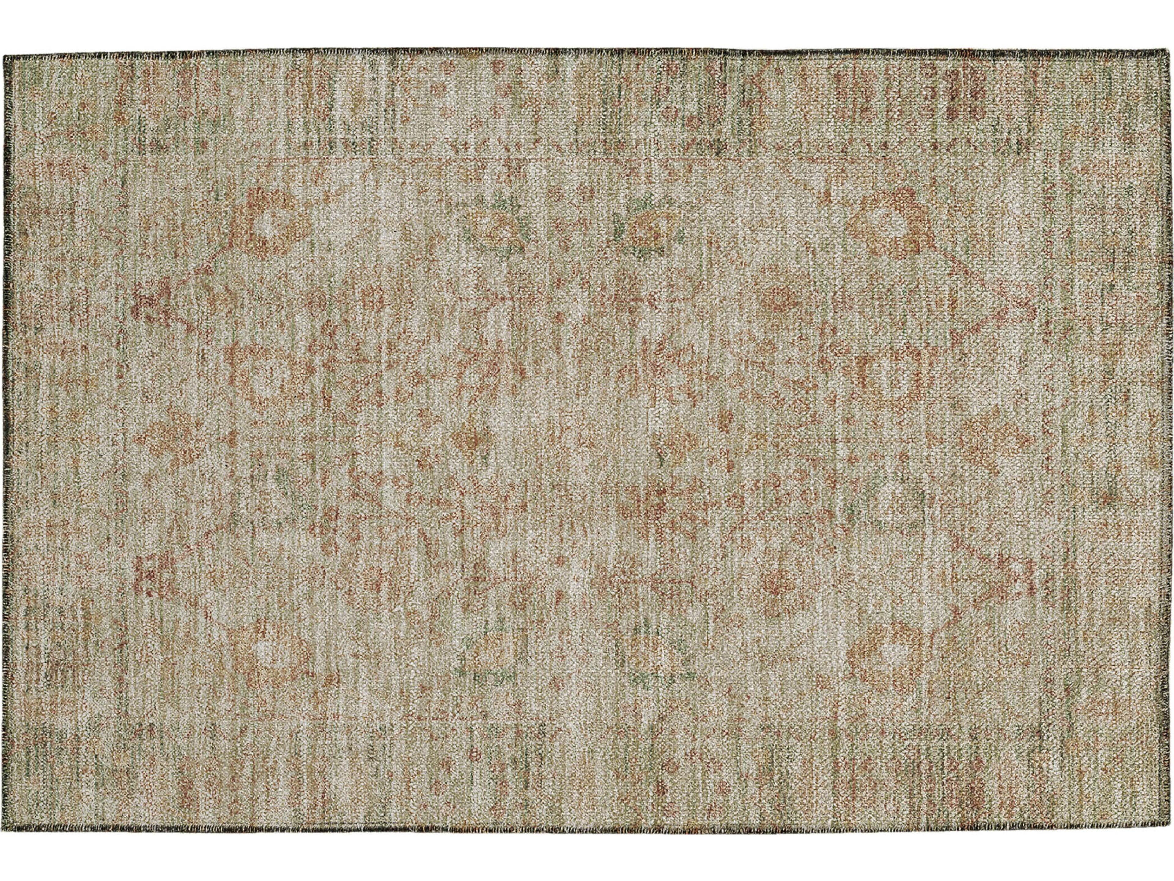 Solace Bordered Area Rug