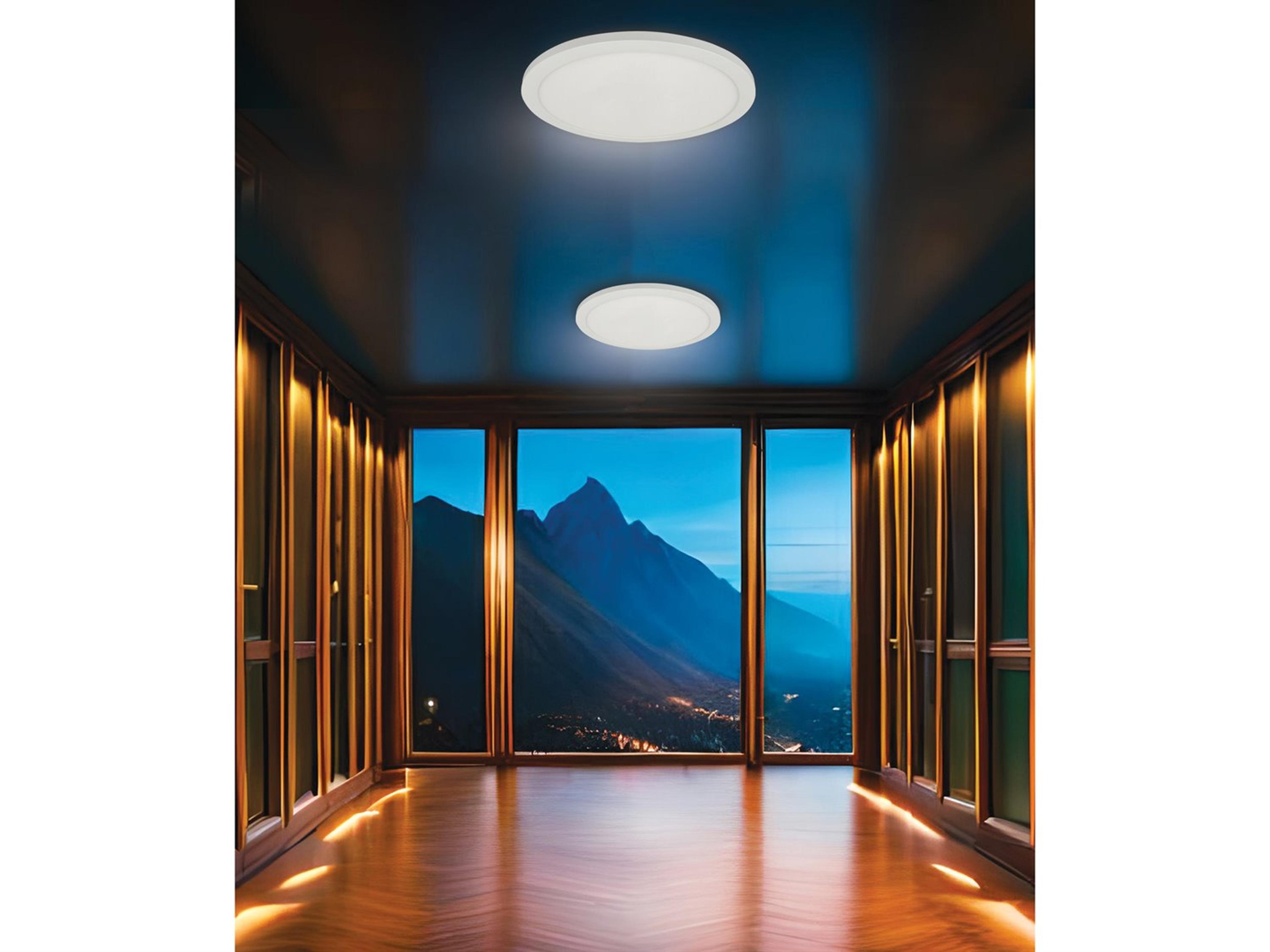 Dainolite Franchesa 1-Light Matte White Round Flush Mount