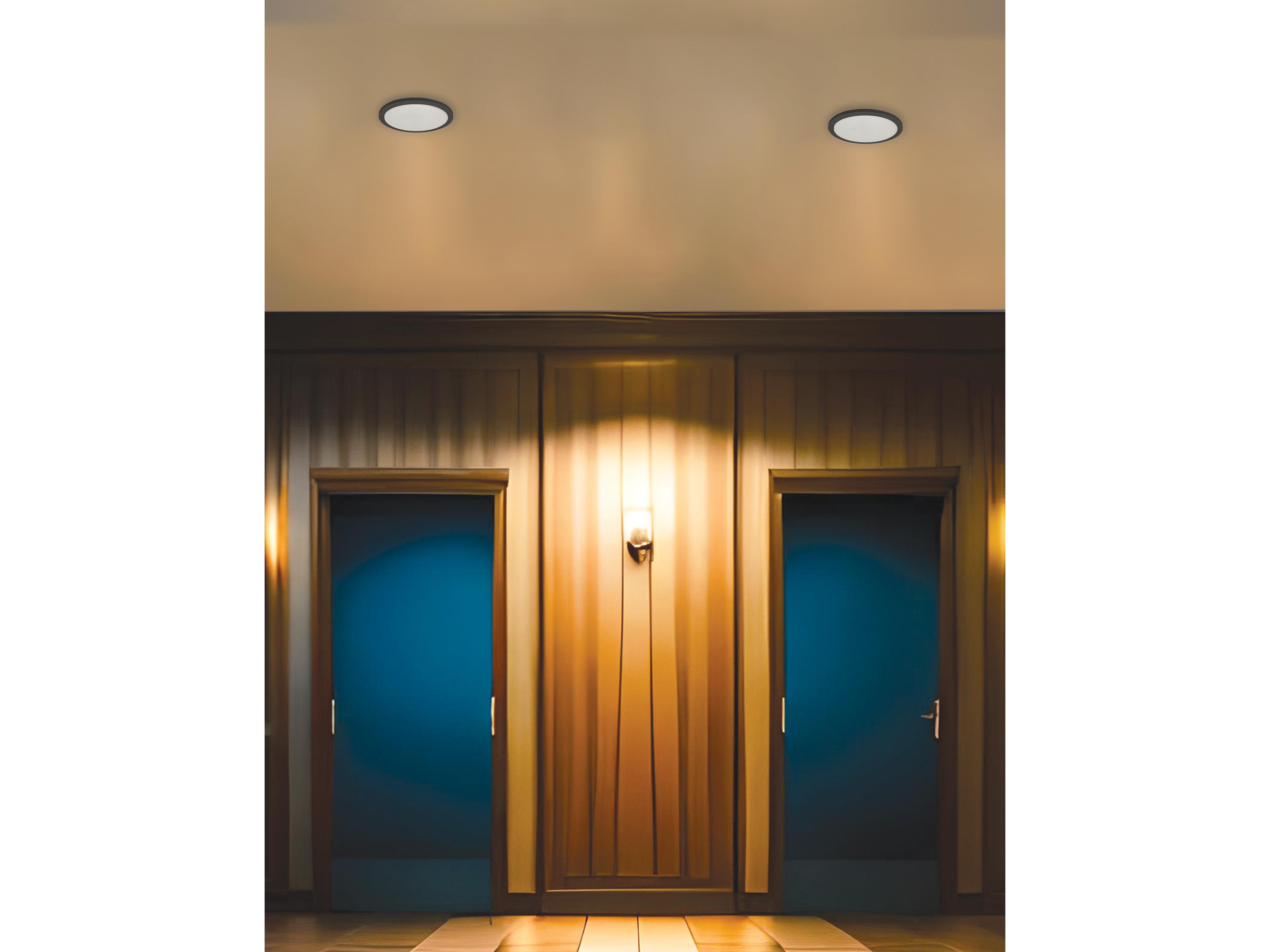 Dainolite Franchesa 1-Light Matte Black Round Flush Mount