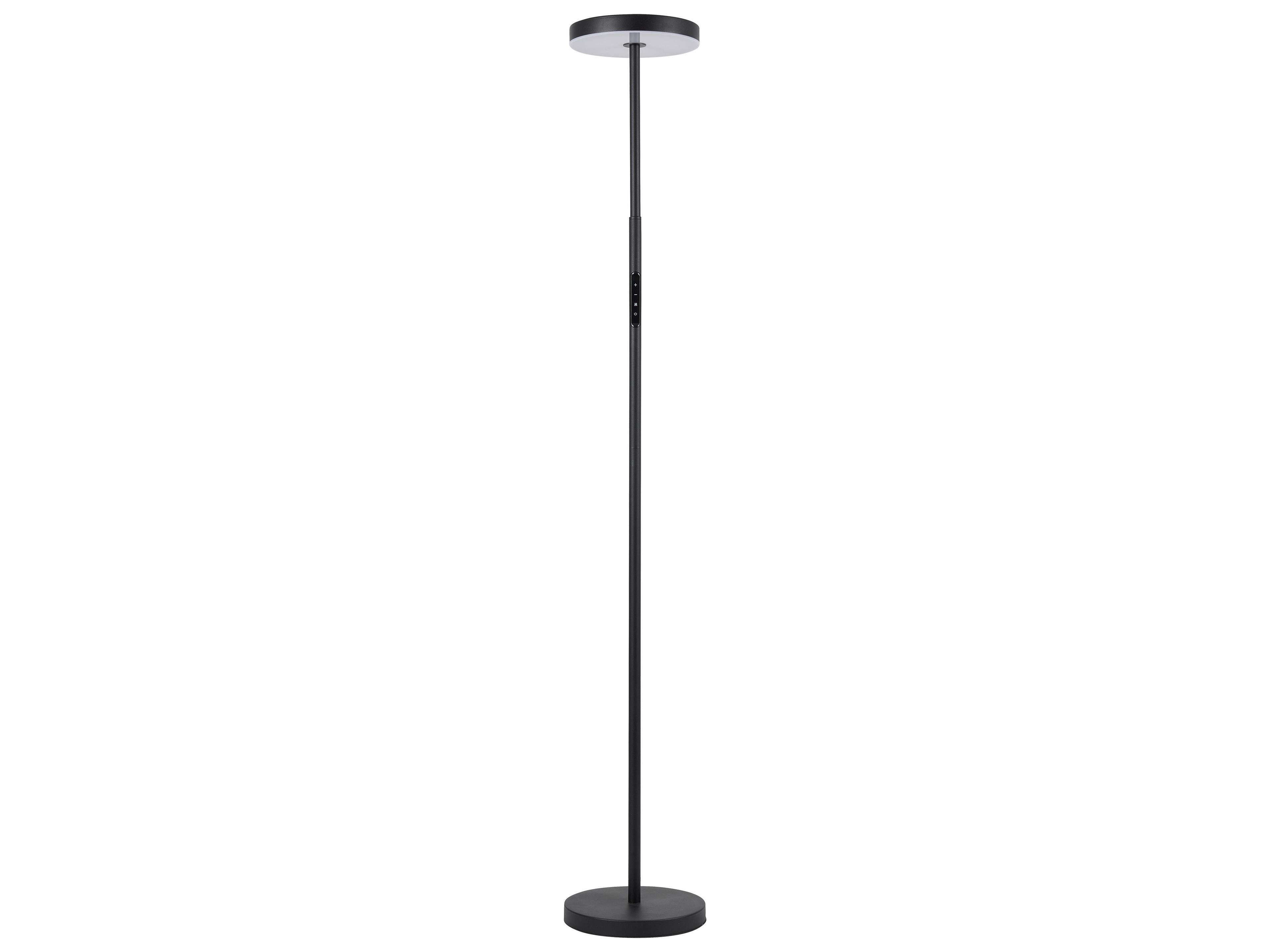 Francine Sandy Black White Floor Lamp