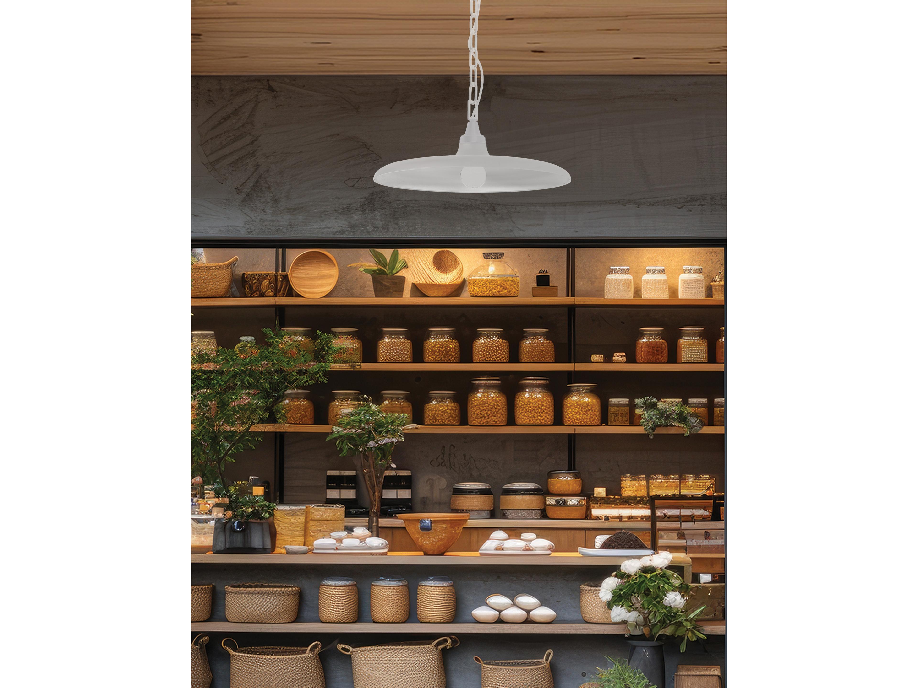Dainolite Quentin 1-Light Matte White Pendant