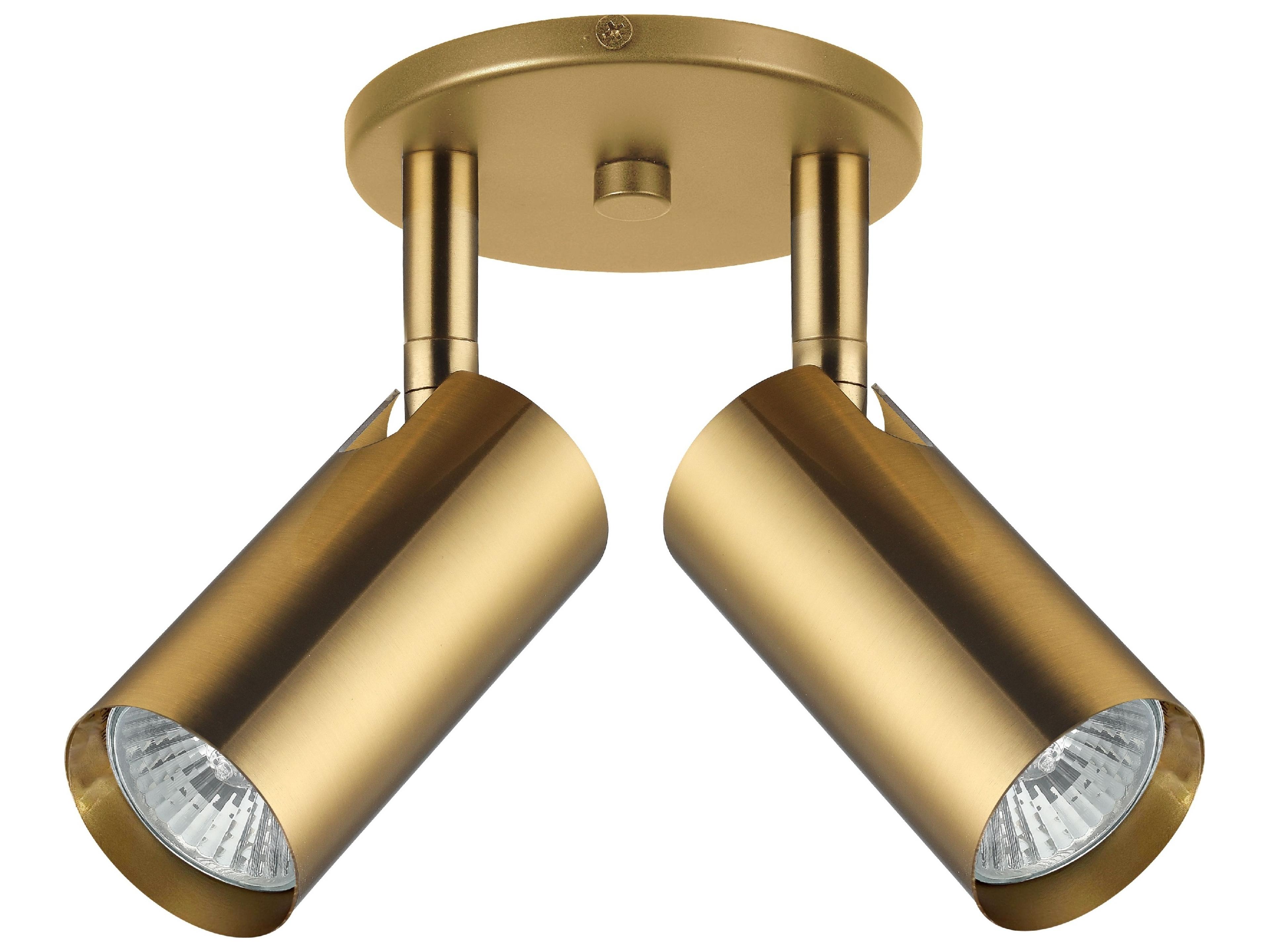 Stanly Two Light Spotlight in Aged Brass