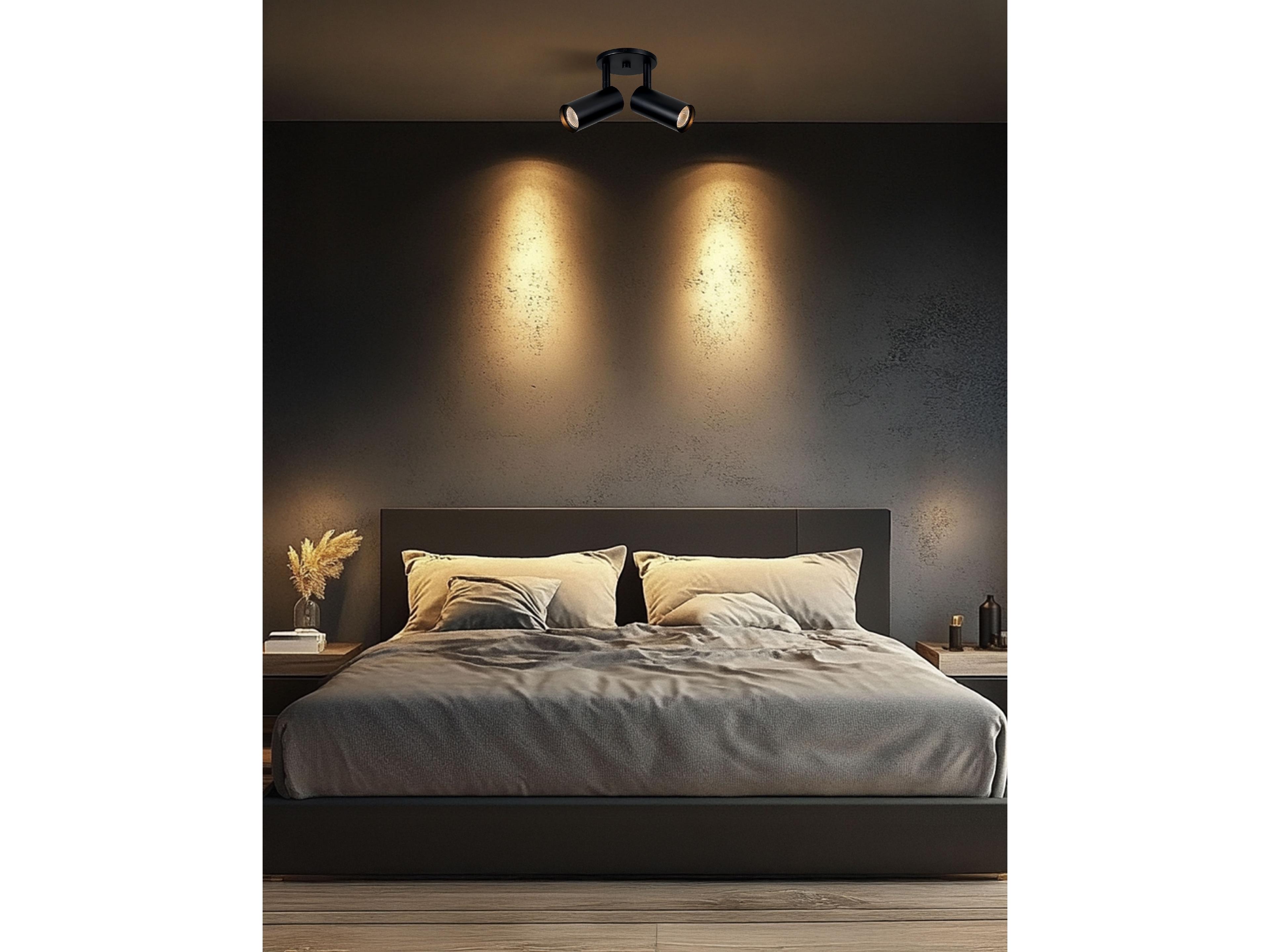 Dainolite Stanly 2-Light Matte Black Cylinder Spot Light