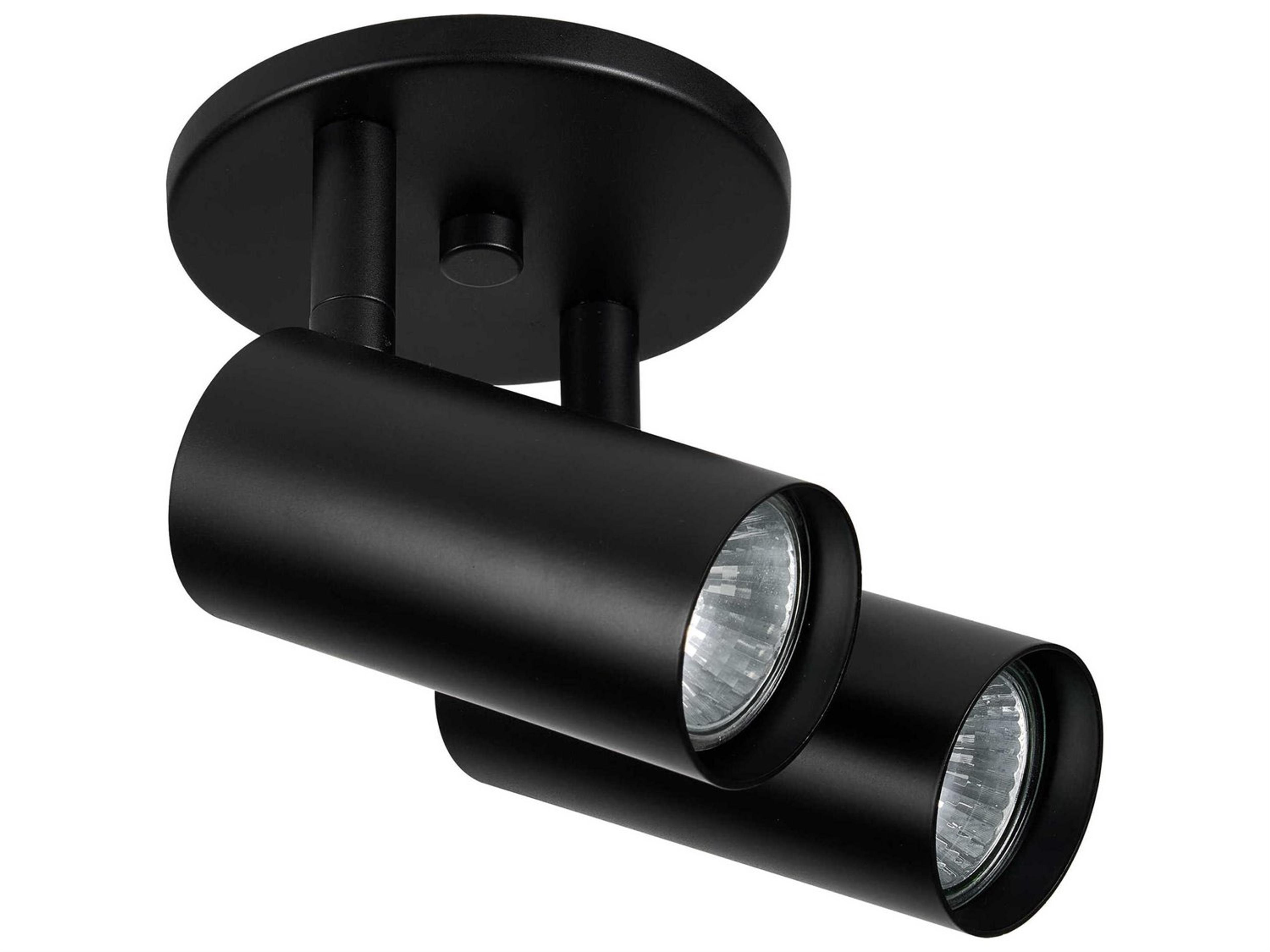Dainolite Stanly 2-Light Matte Black Cylinder Spot Light
