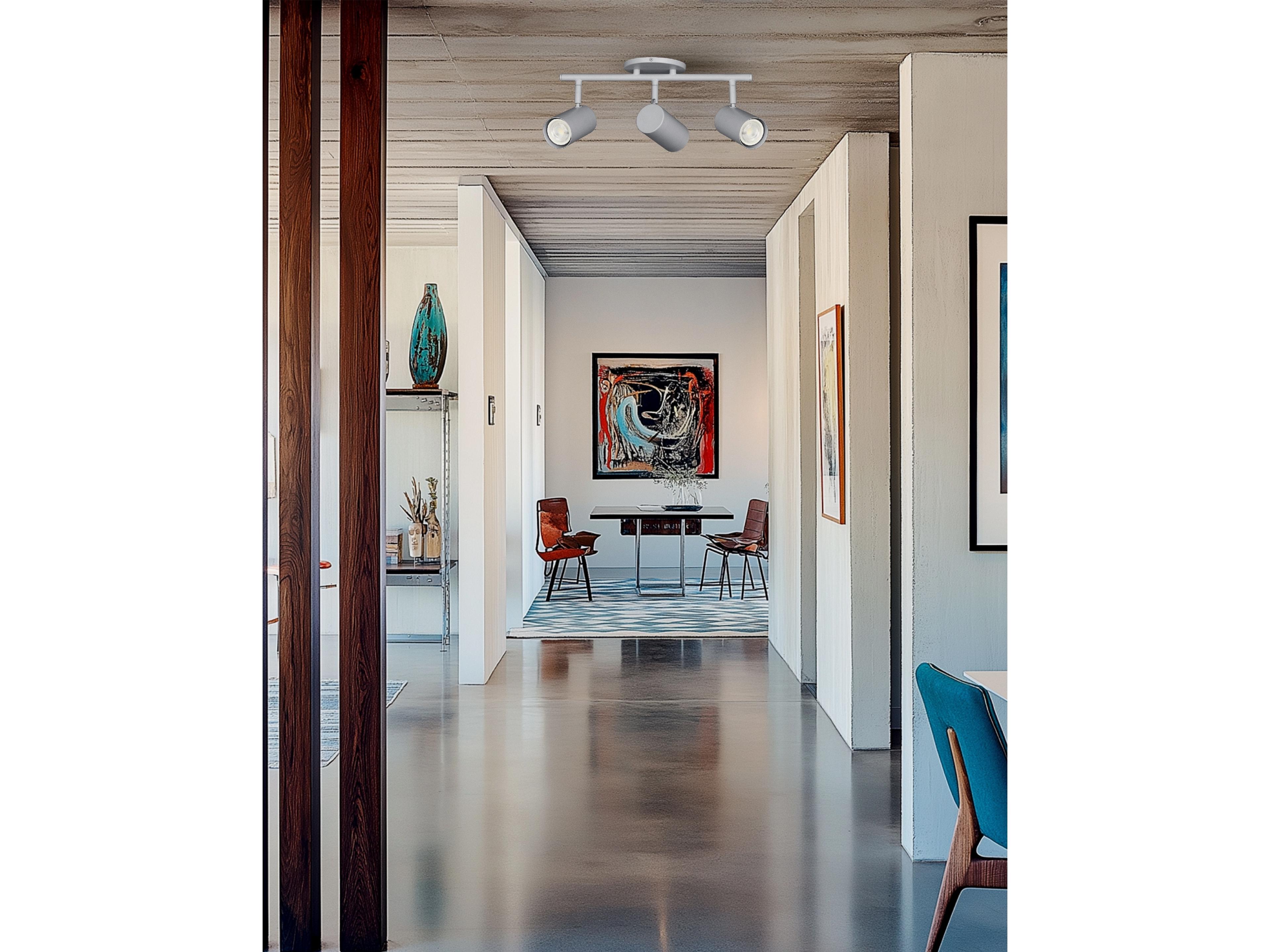 Dainolite Taylor 3-Light Satin Chrome Cylinder Track & Rail Light