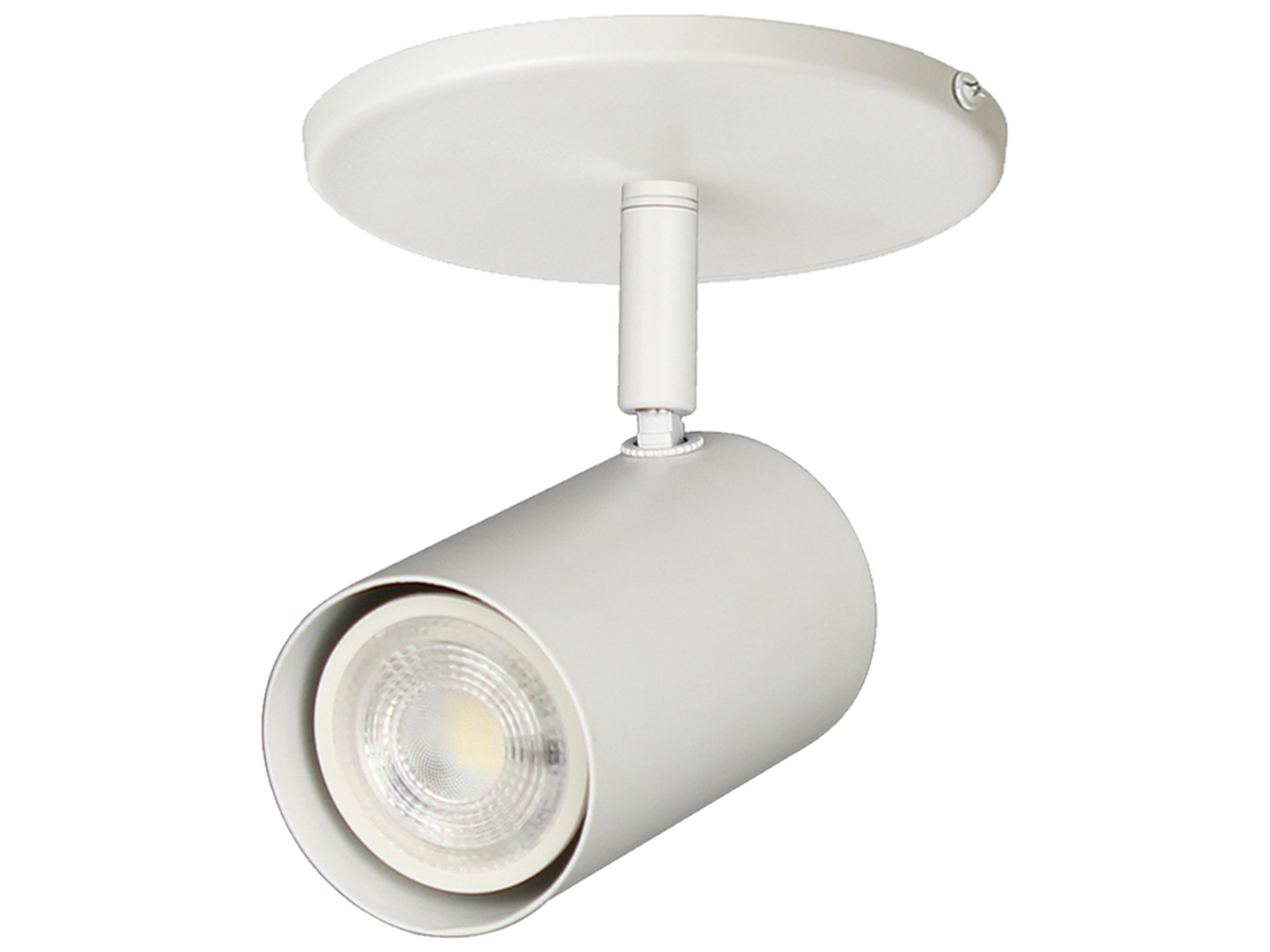 Taylor 1-Light Spot Light Modern Adjustable