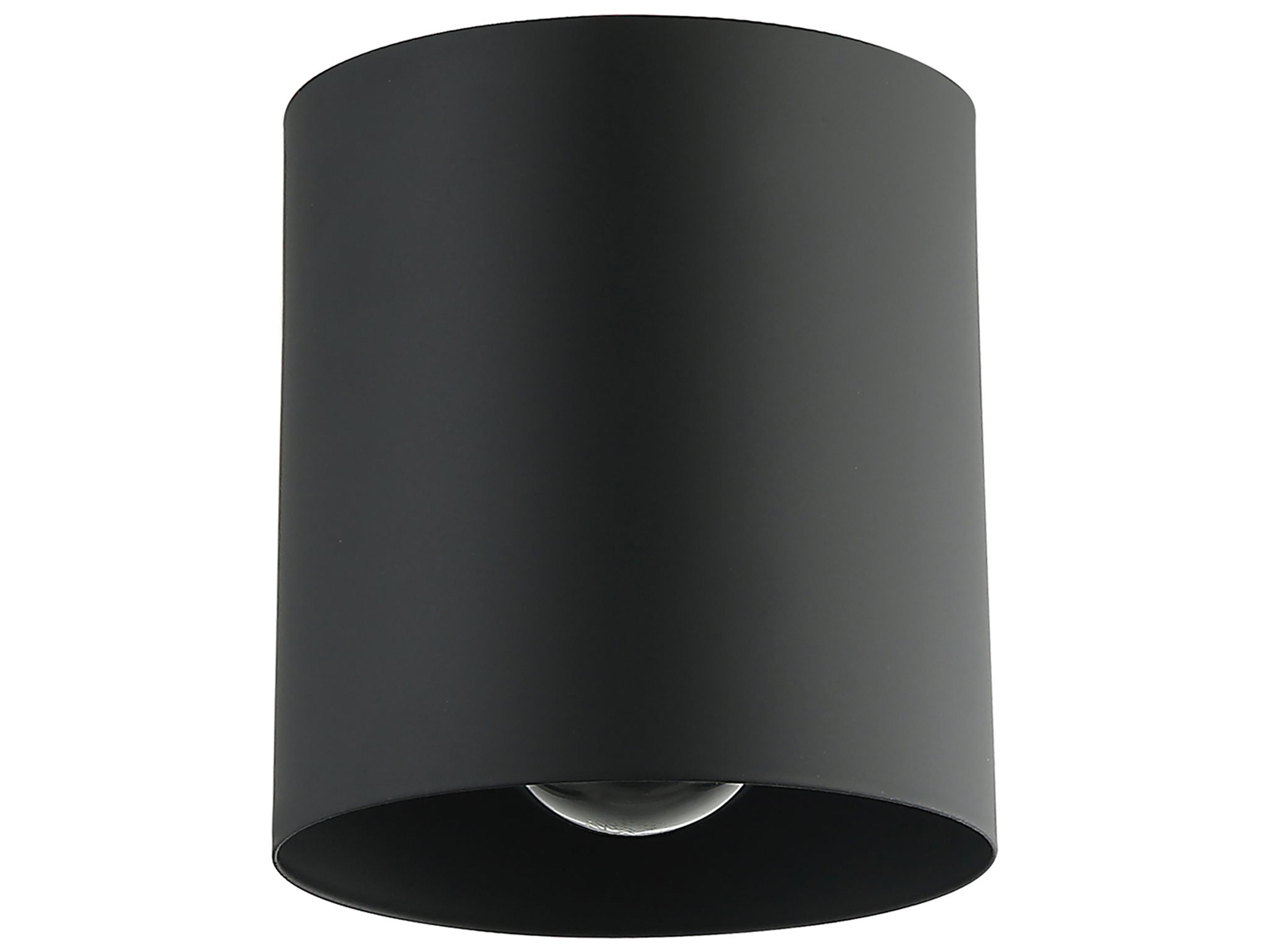 Theron Flush Mount Ceiling Light in Matte Black