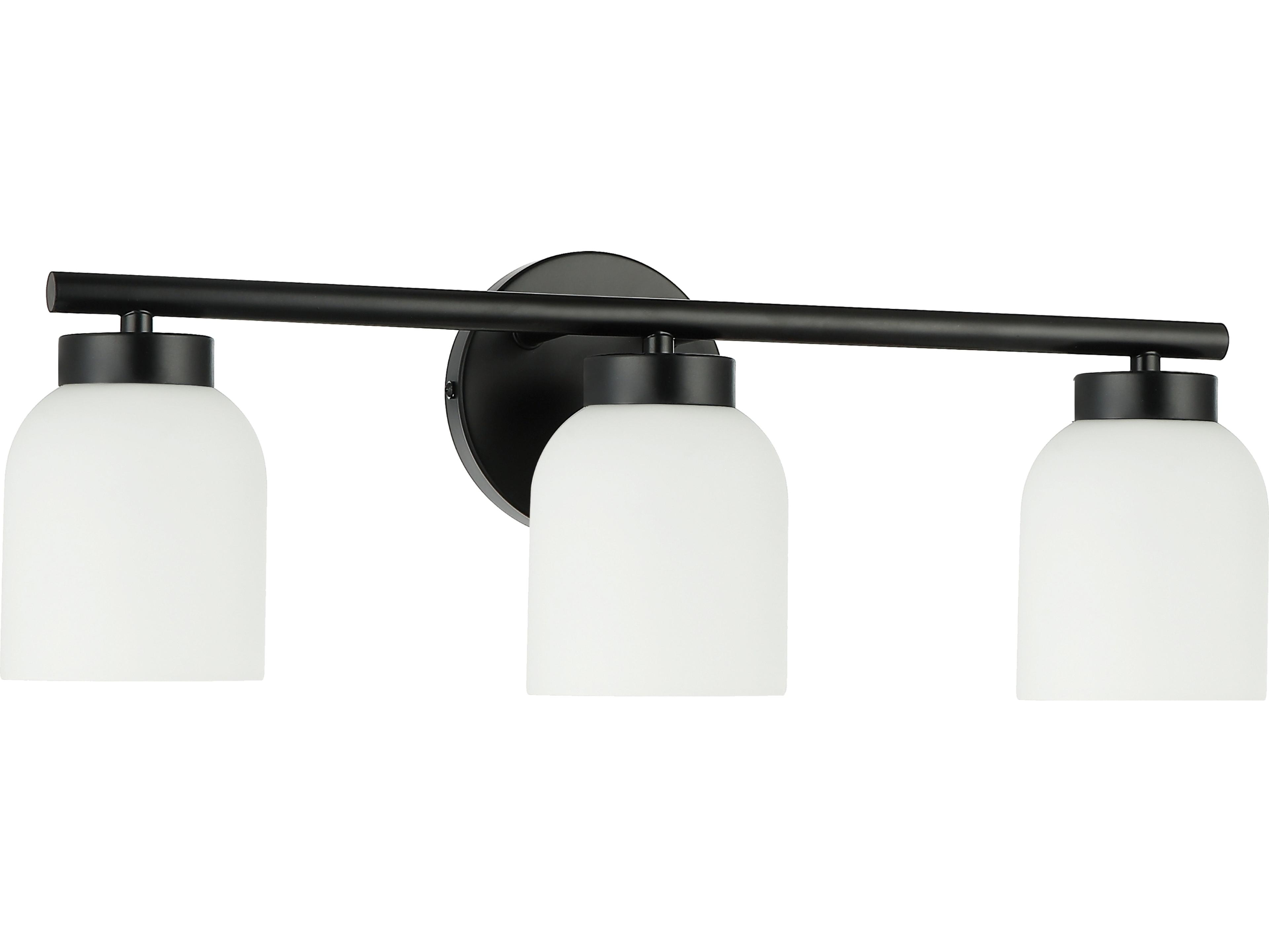 Vonda Matte Black Vanity Light
