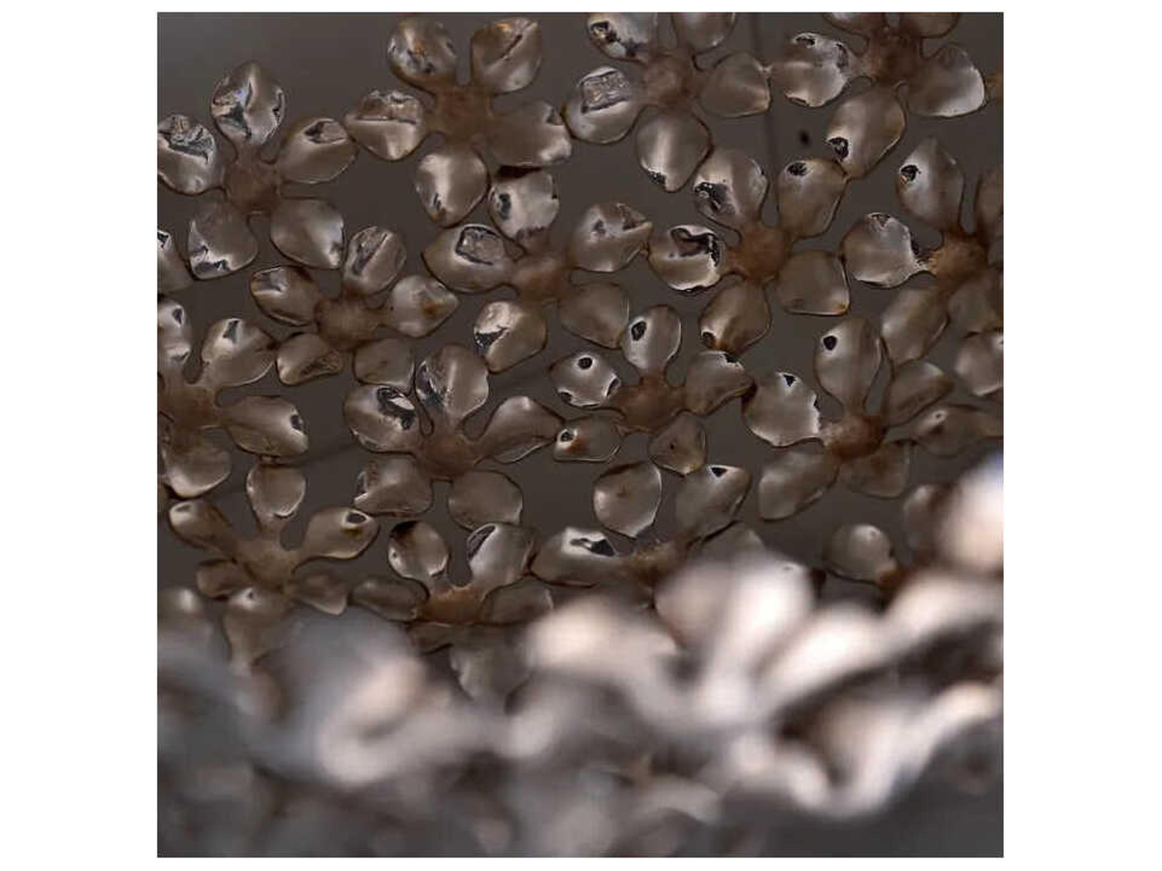 Driade Kachnar By Mann Singh Silver Brass Decorative Bowl