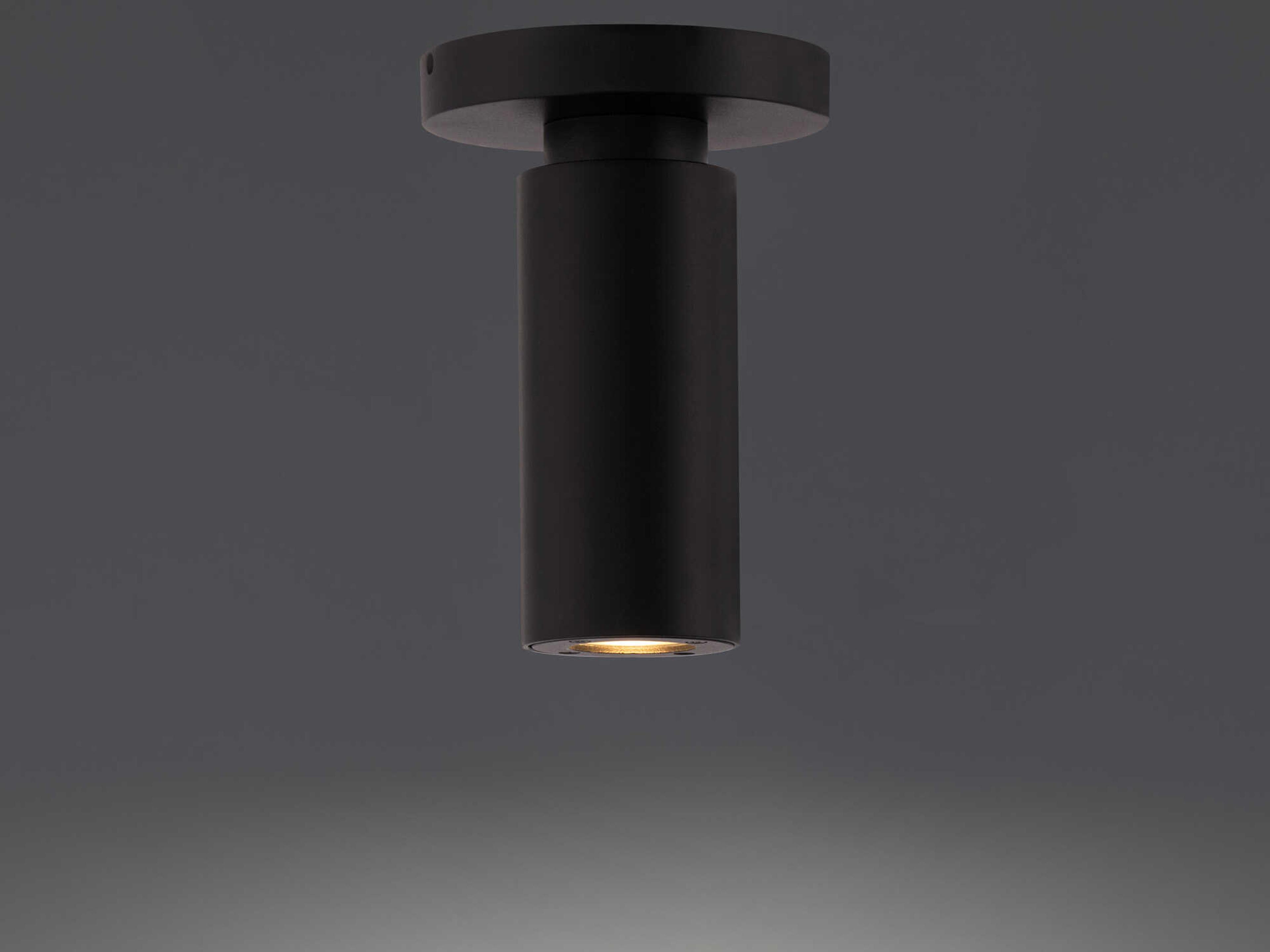 dweLED by WAC Lighting Caliber 1 - Light Outdoor Ceiling Light