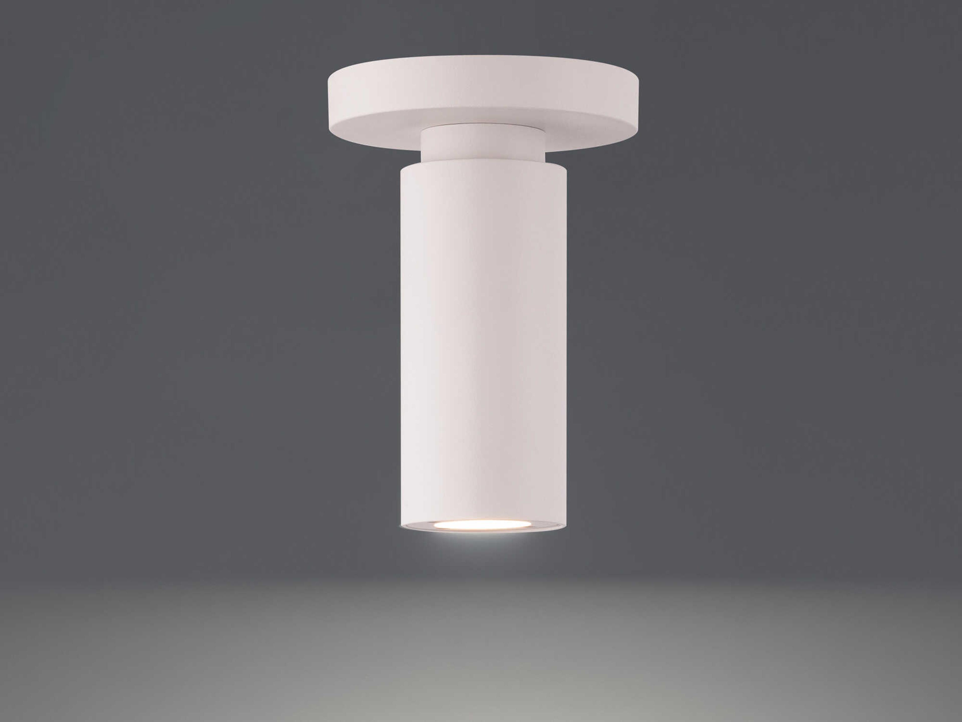 dweLED by WAC Lighting Caliber 1 - Light Outdoor Ceiling Light