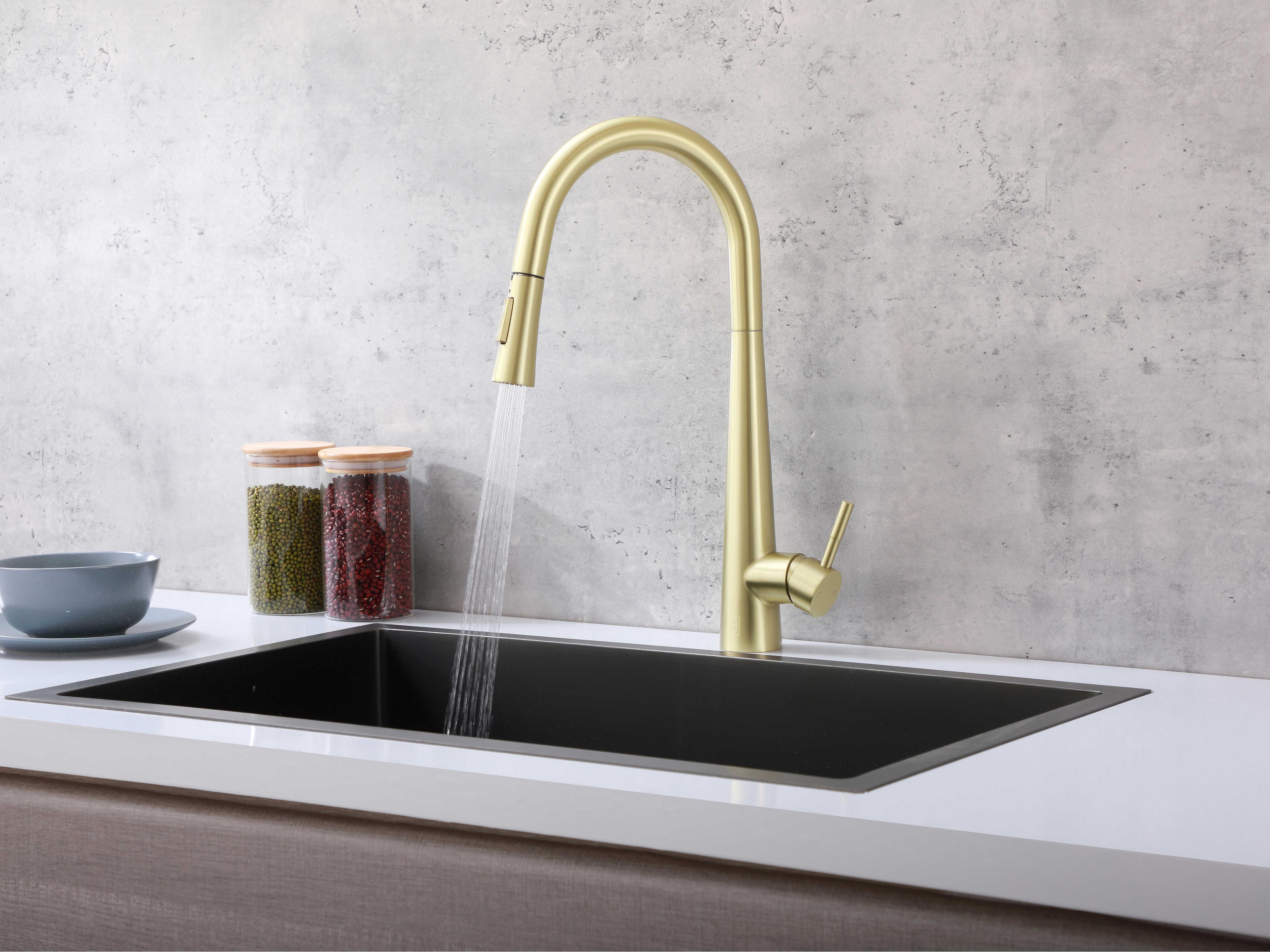 Elegant Lighting Lucas Brushed Gold Pull Down Sprayer Kitchen Faucet