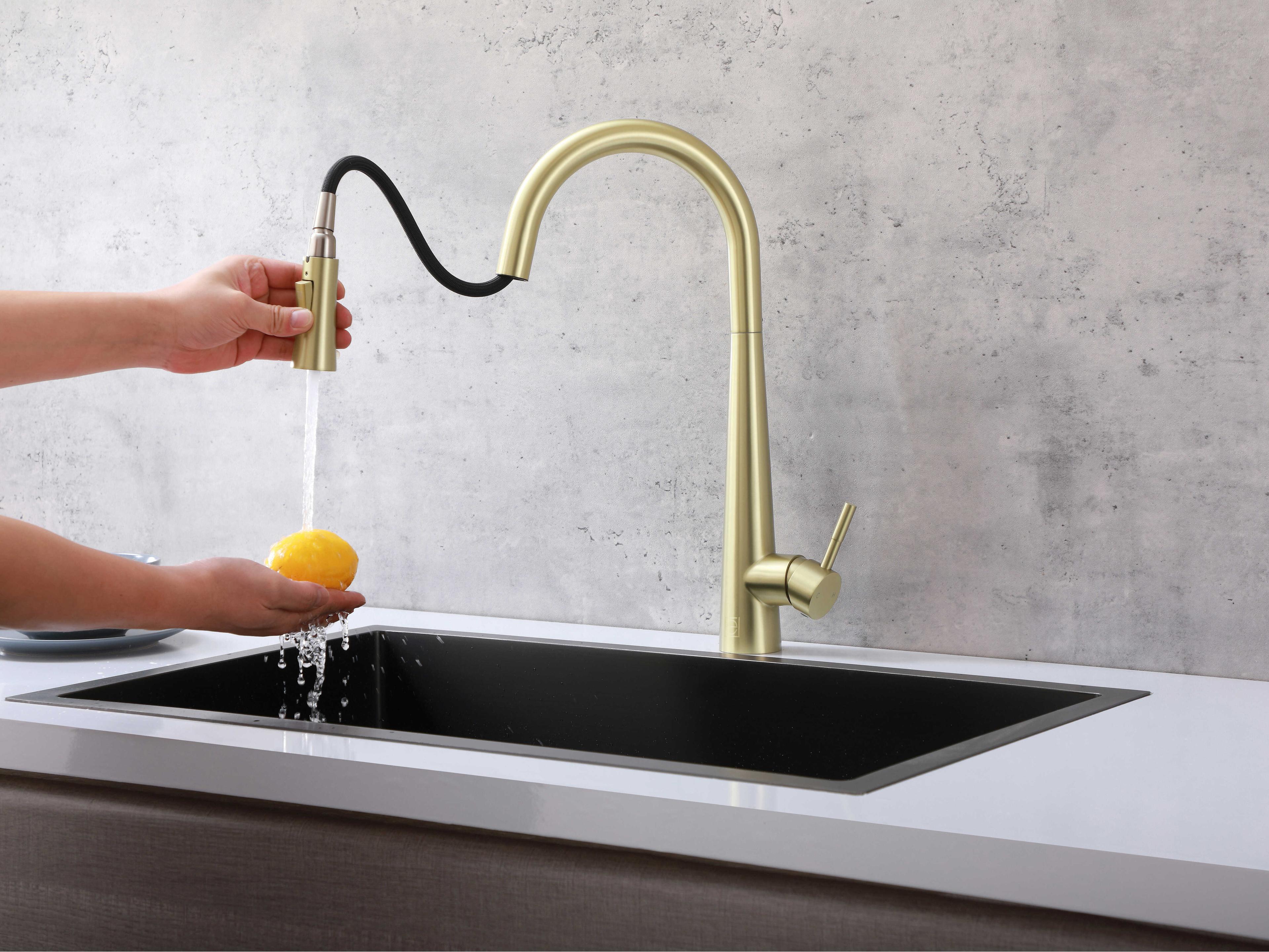 Elegant Lighting Lucas Brushed Gold Pull Down Sprayer Kitchen Faucet