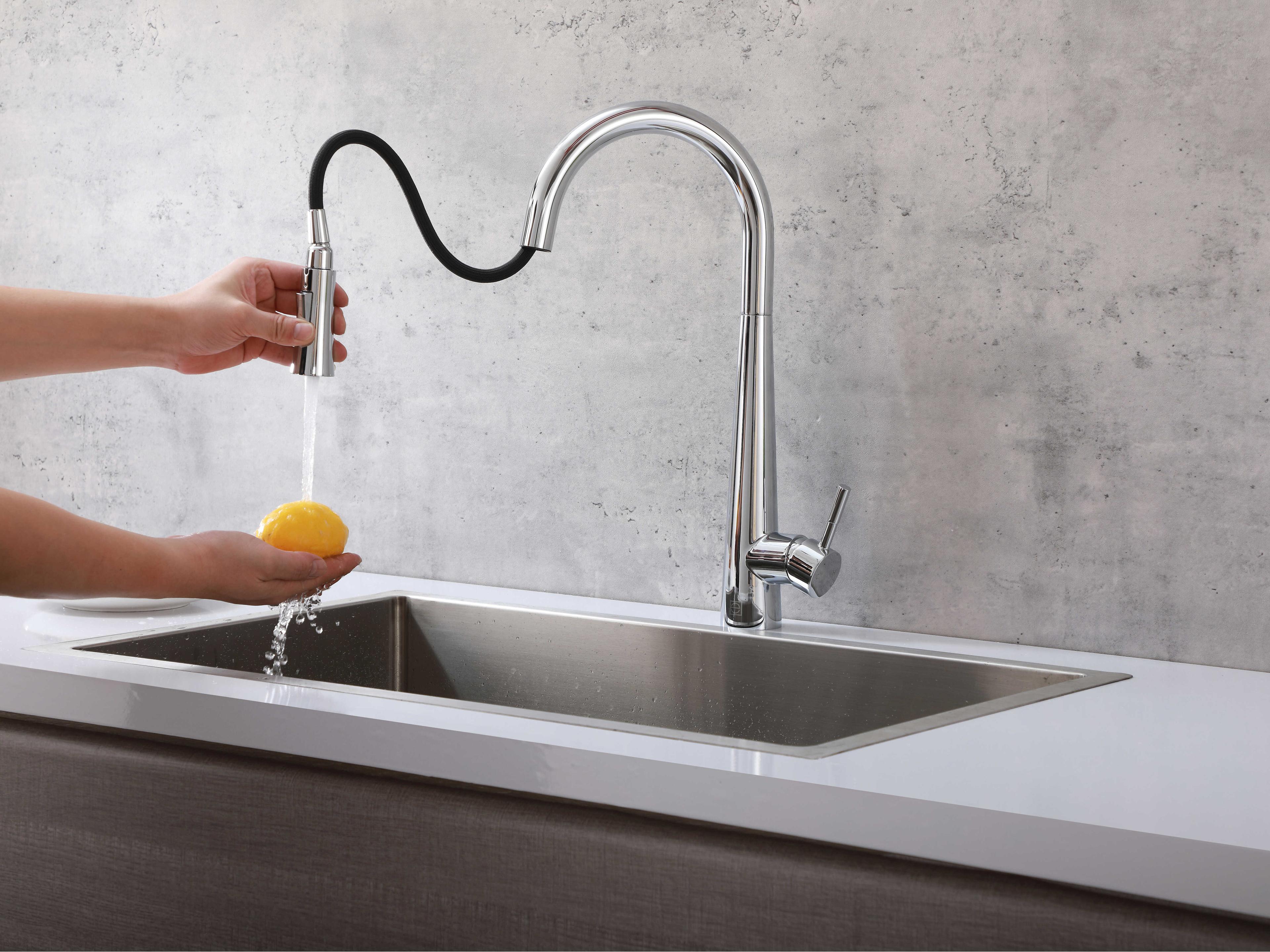Elegant Lighting Lucas Chrome Pull Down Sprayer Kitchen Faucet