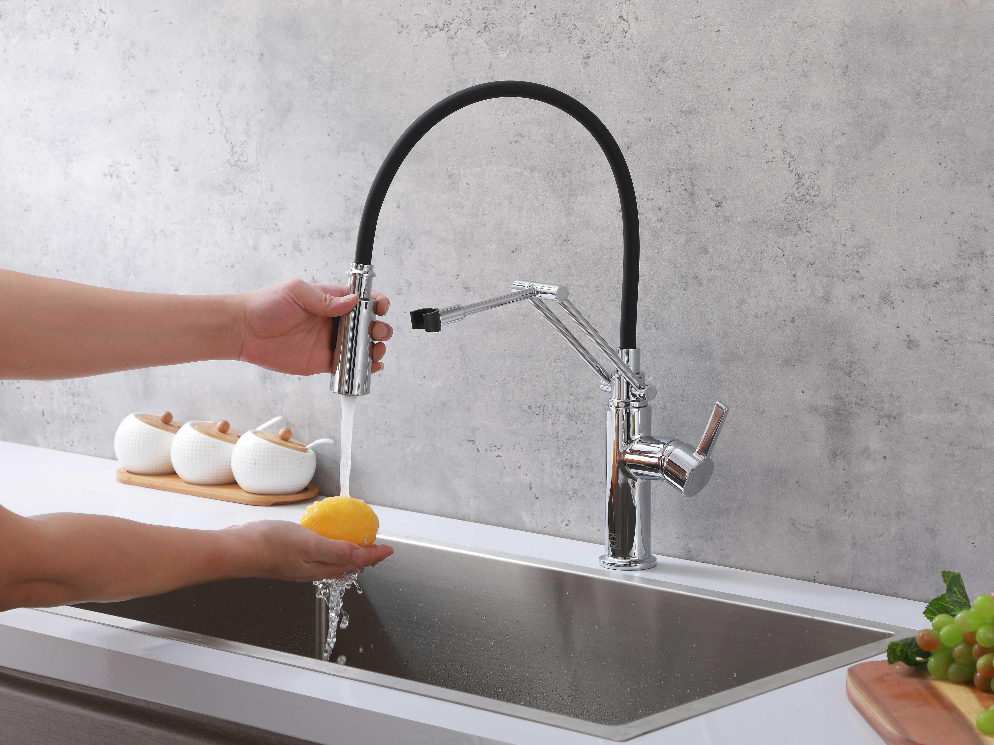 Elegant Lighting Leonardo Chrome Pull Down Sprayer Kitchen Faucet
