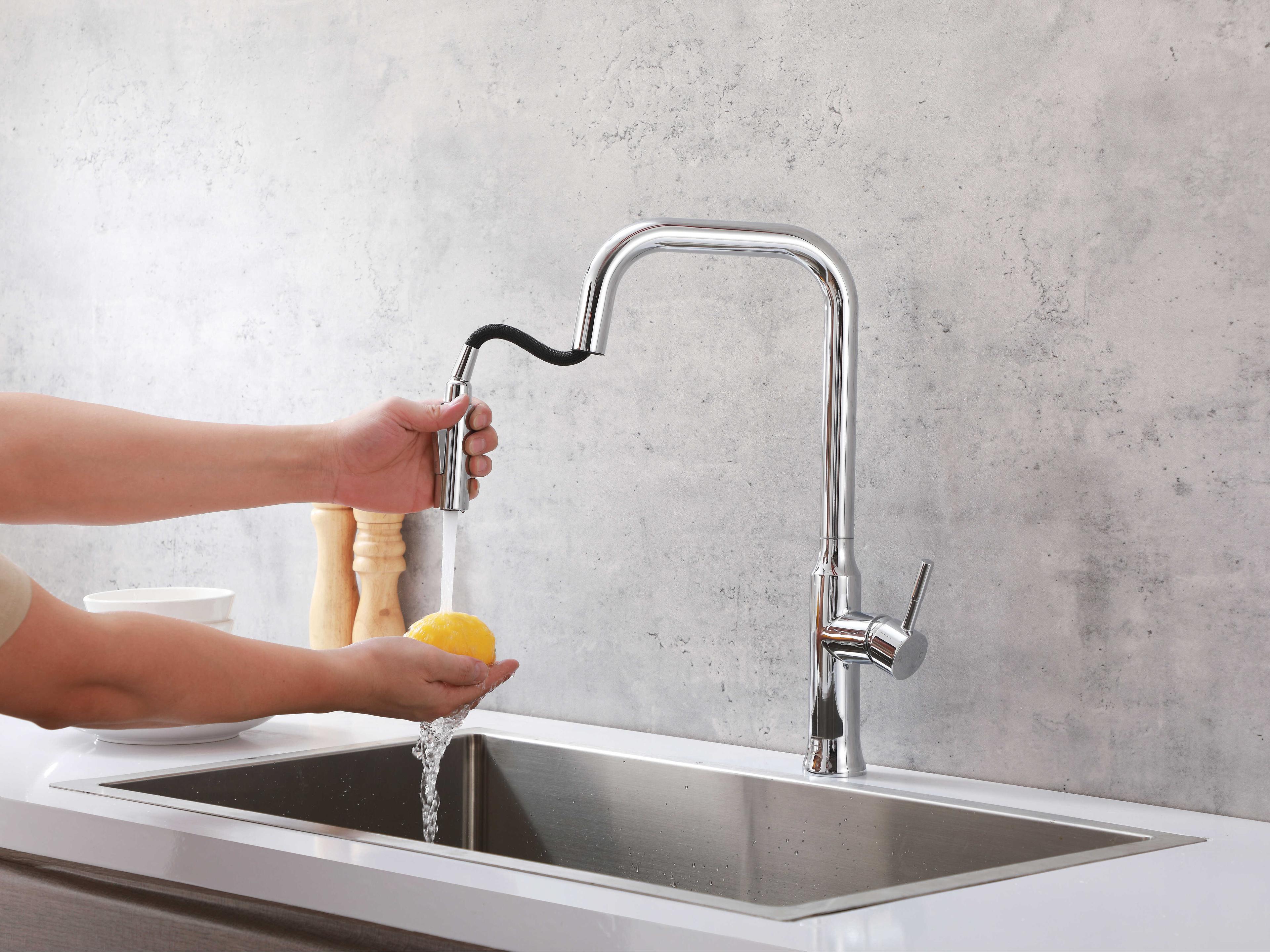 Elegant Lighting Noor Chrome Pull Down Sprayer Kitchen Faucet