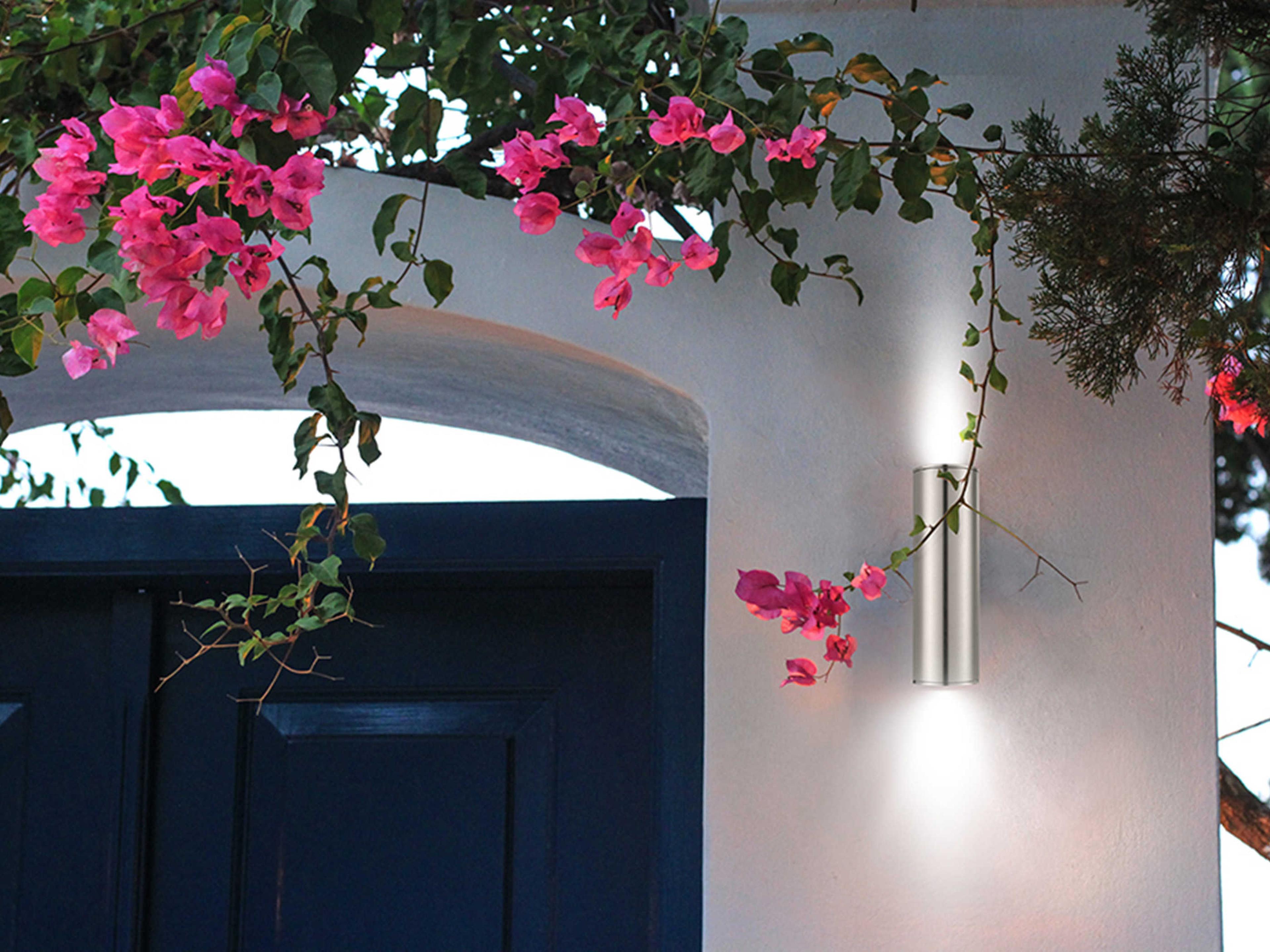 Eglo Ascoli 2-Light Outdoor Wall Light