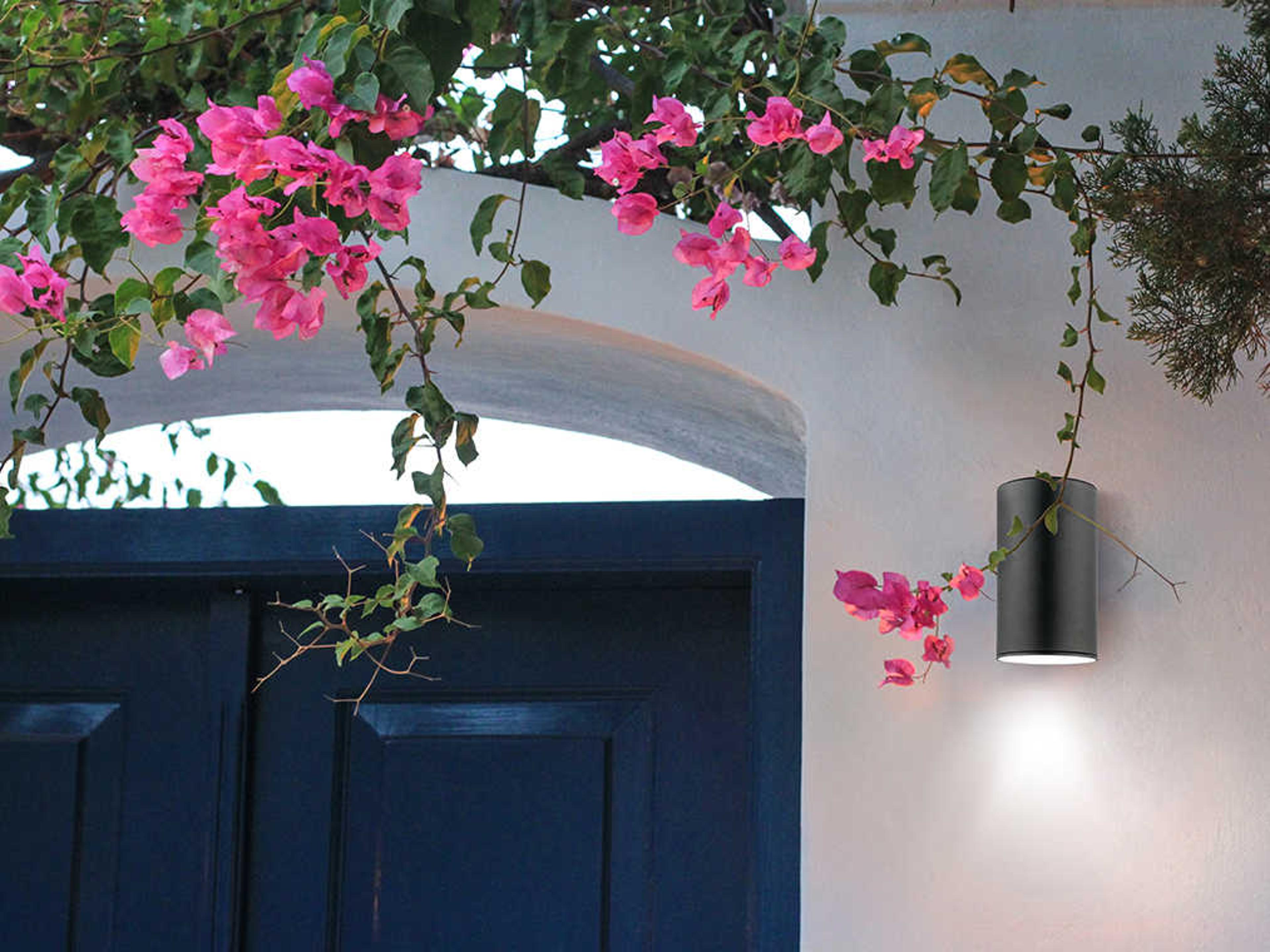 Eglo Ascoli 1-Light Outdoor Wall Light