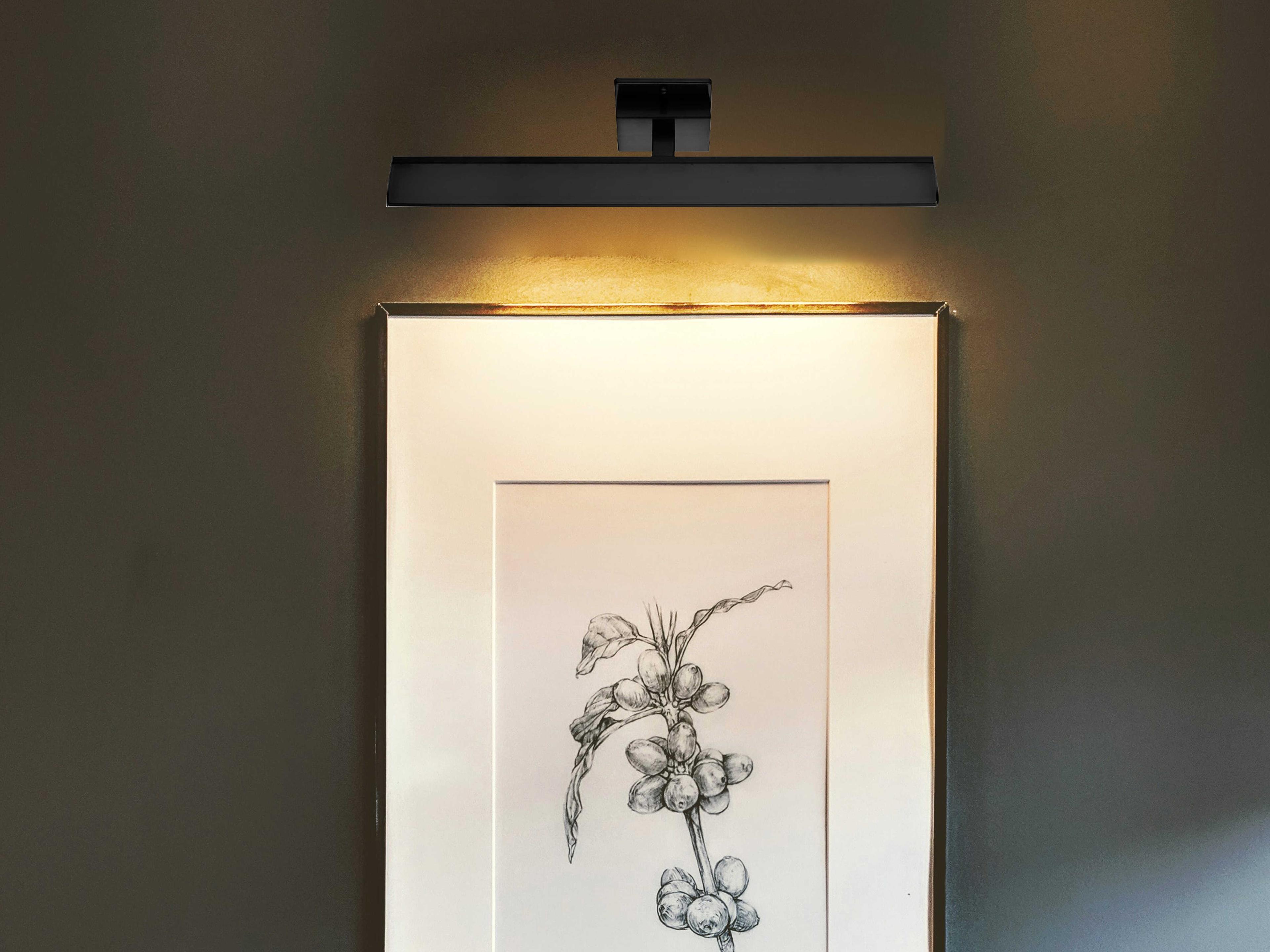 Eglo Tabiano 1-Light Matte Black Picture Light