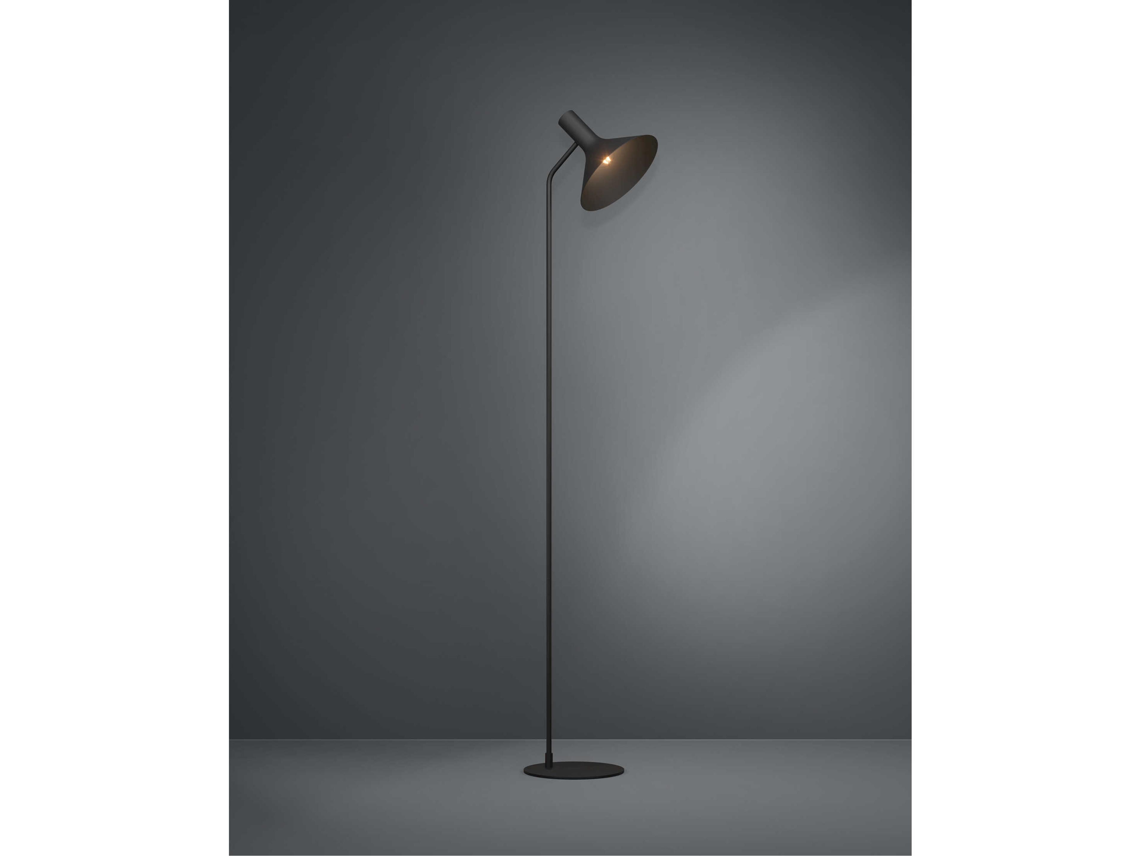 Eglo Morescana Black Metal Floor Lamp