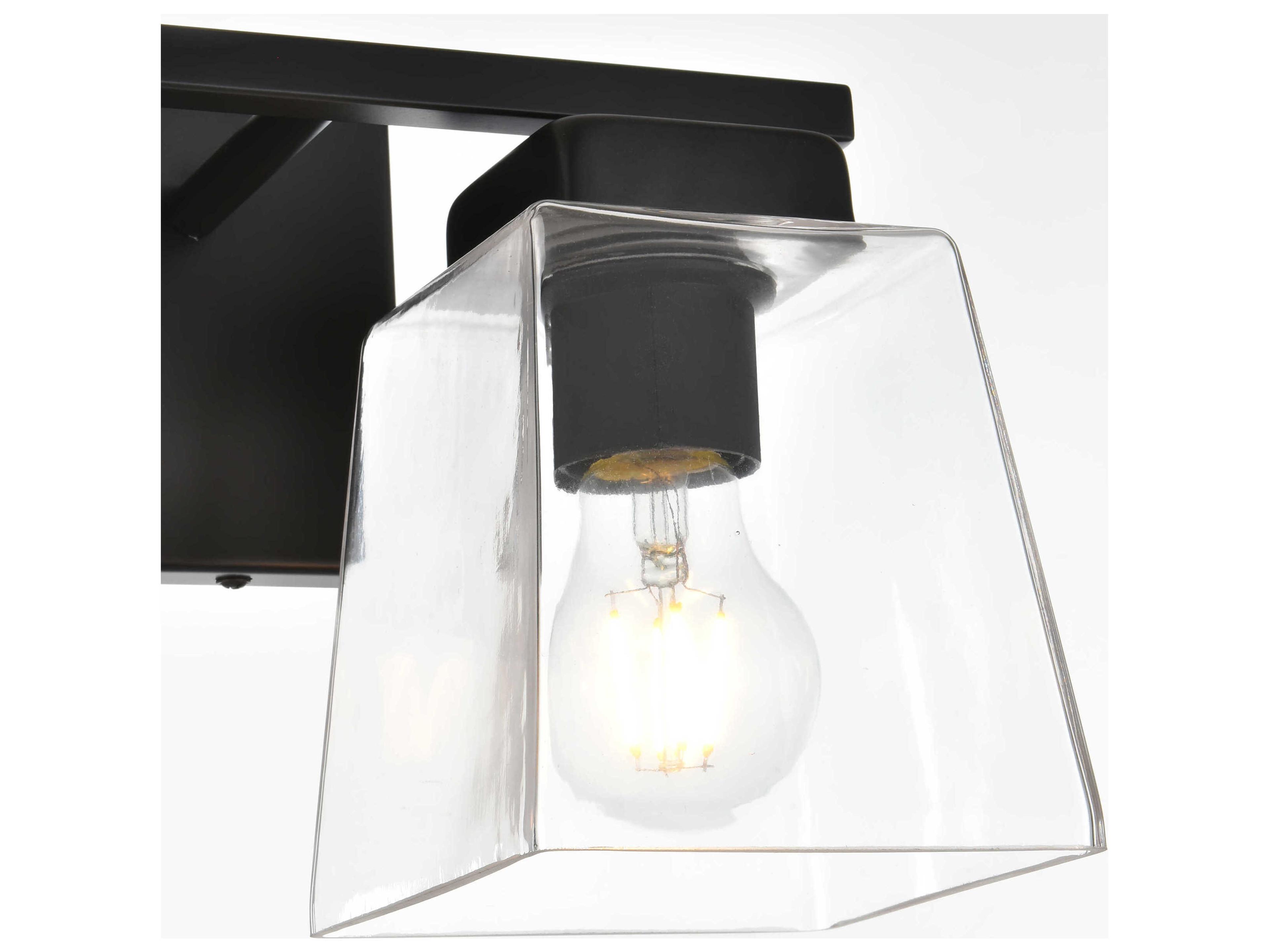Elegant Lighting Merrick 2-Light Black Glass Vanity Light