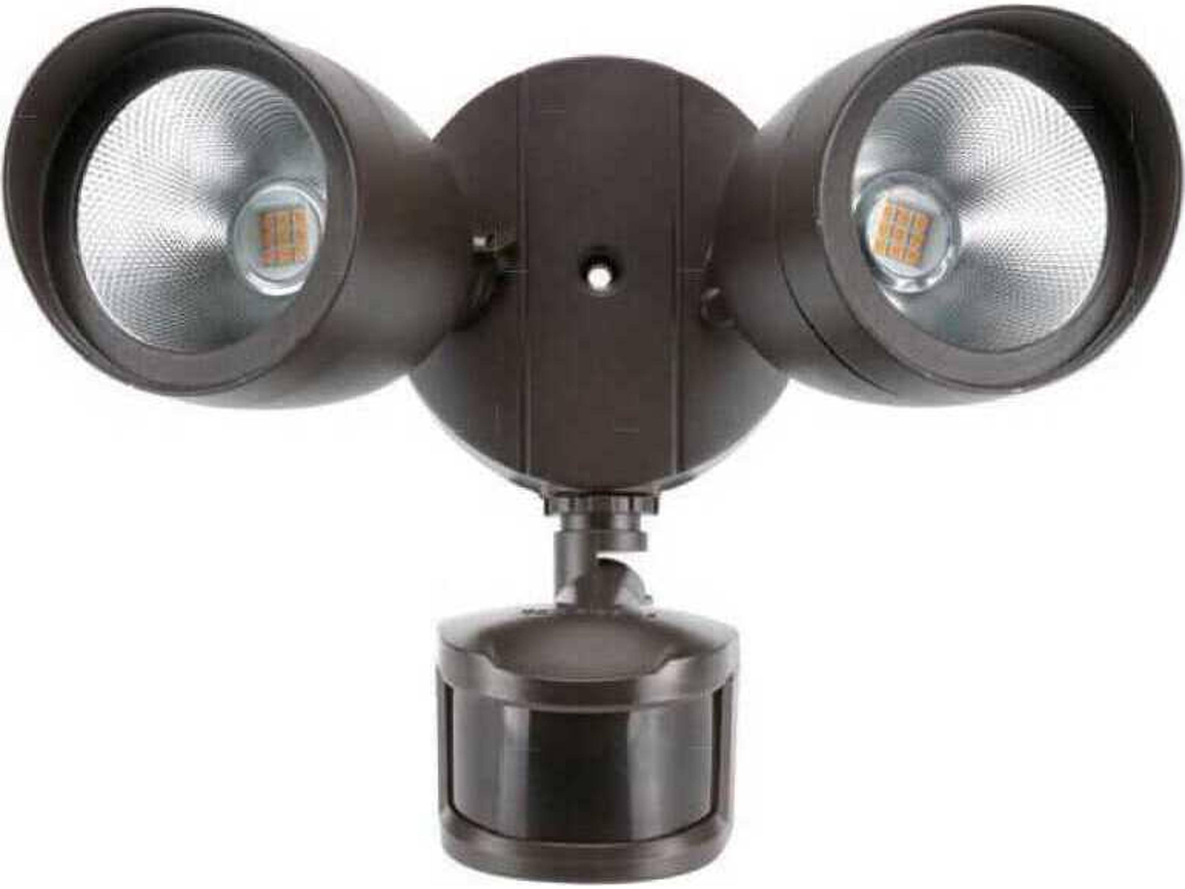 Aegis Outdoor Wall Light