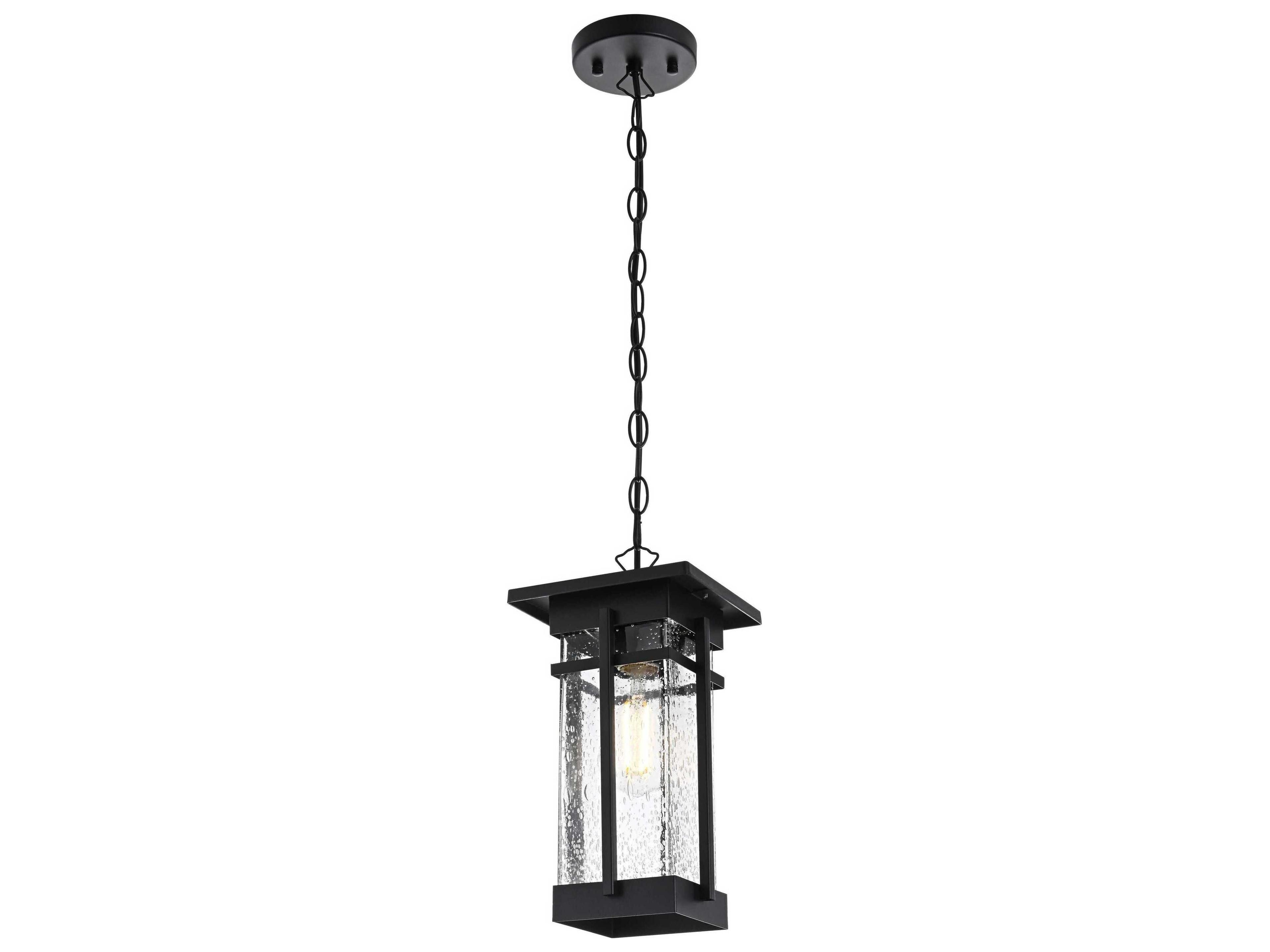 Livingston 1-Light Outdoor Hanging Light