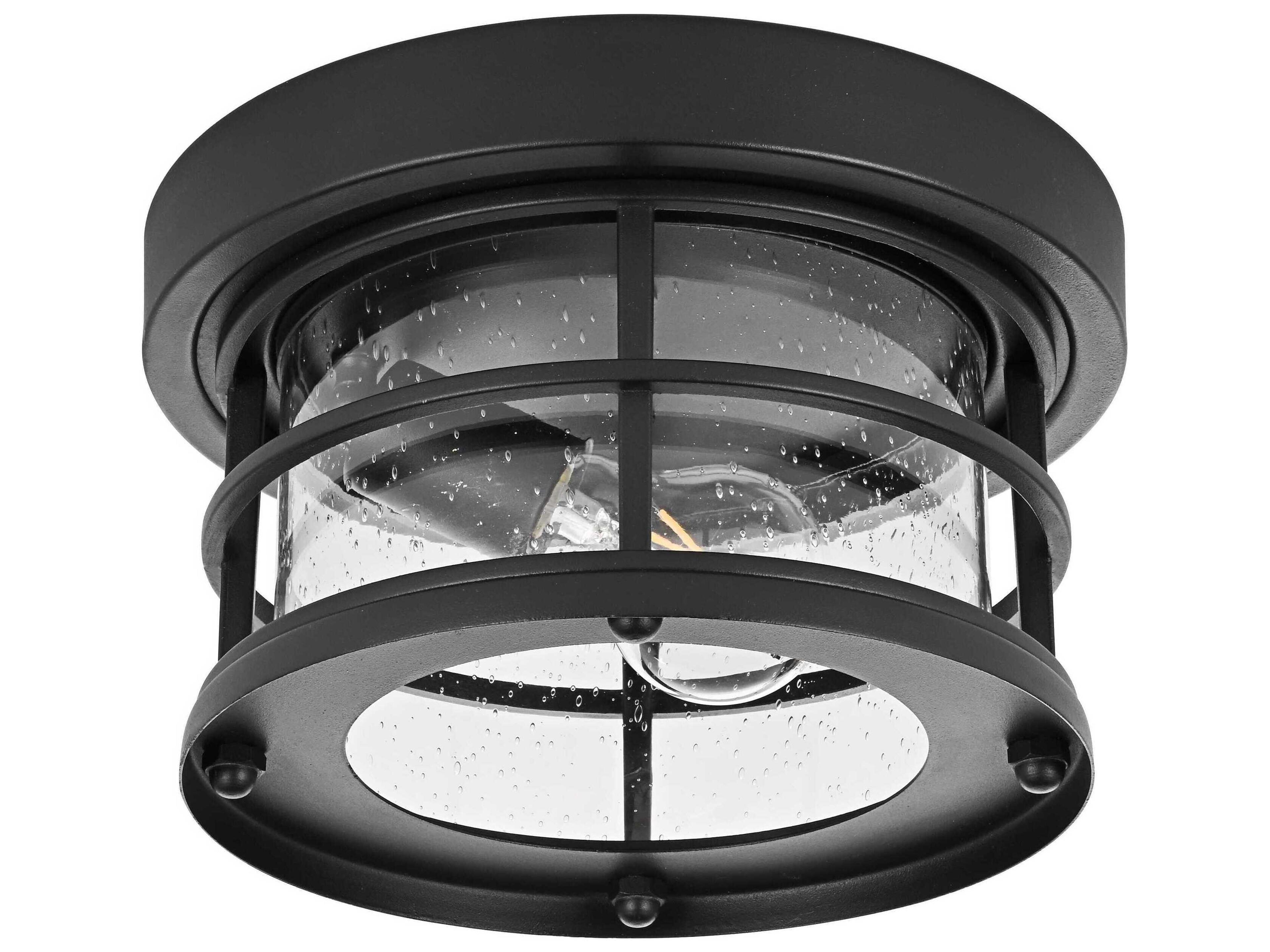 Carla 1-Light Outdoor Ceiling Light