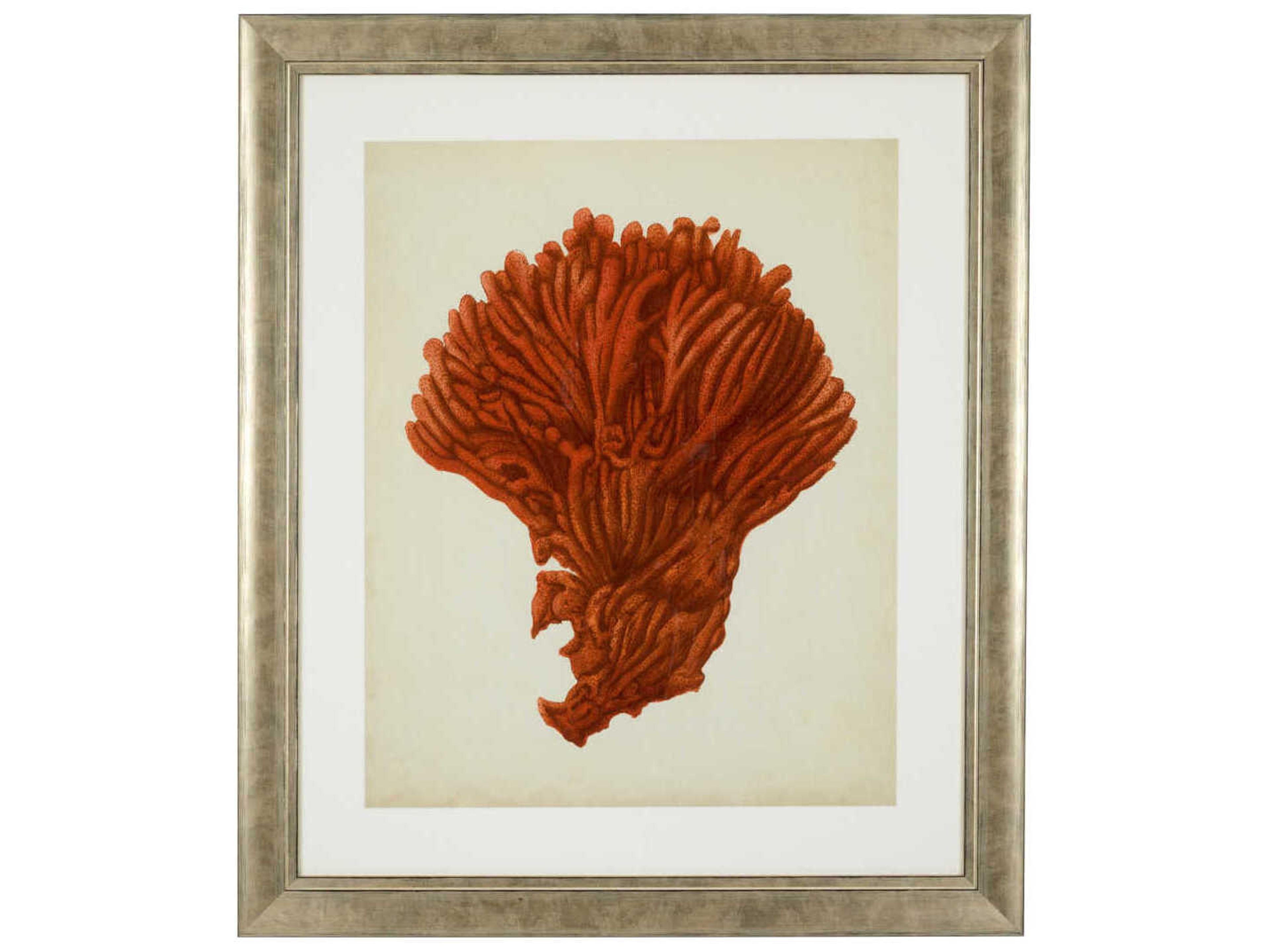 Eichholtz Set of 6 Print Antique Red Corals