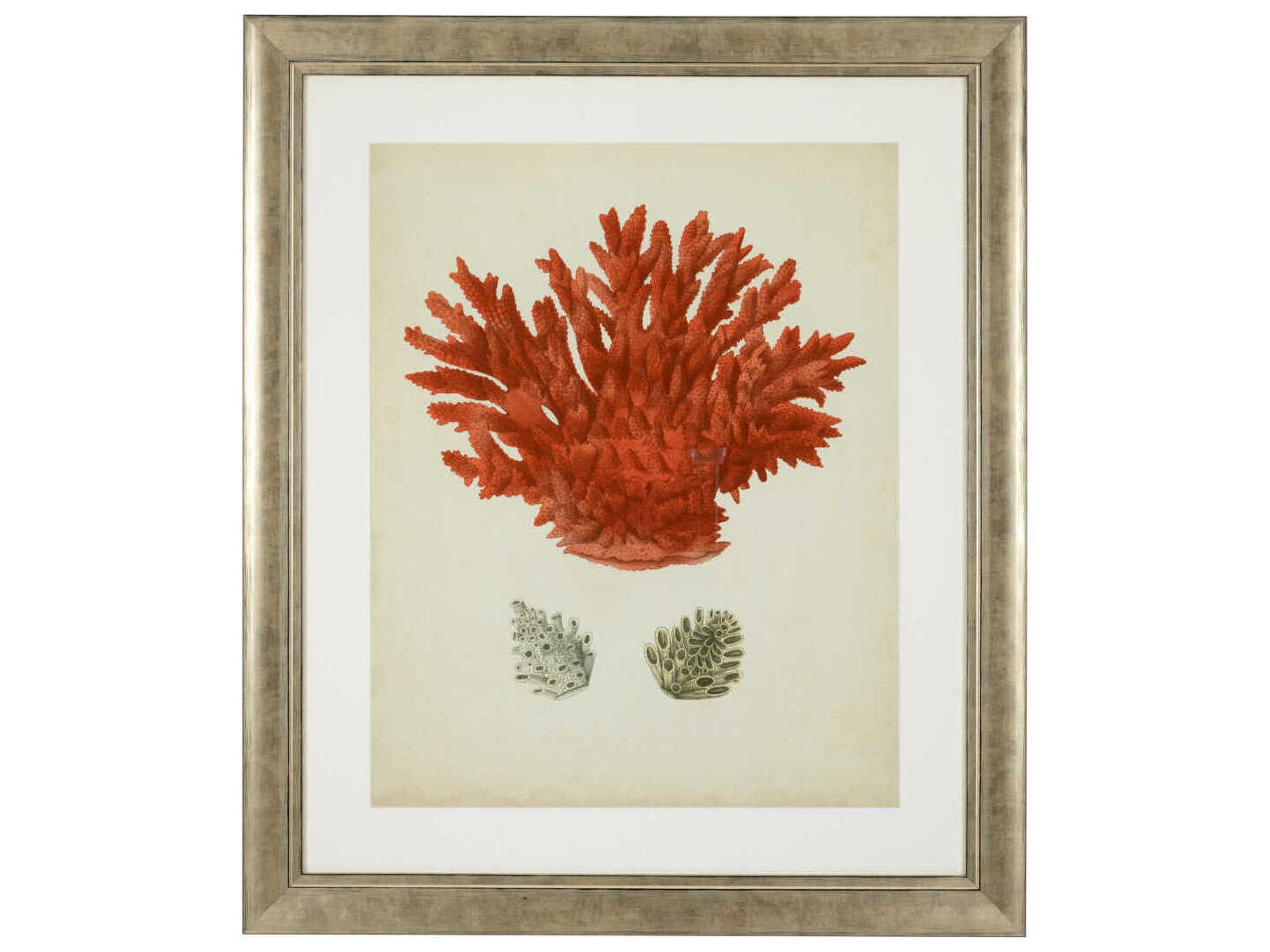Eichholtz Set of 6 Print Antique Red Corals