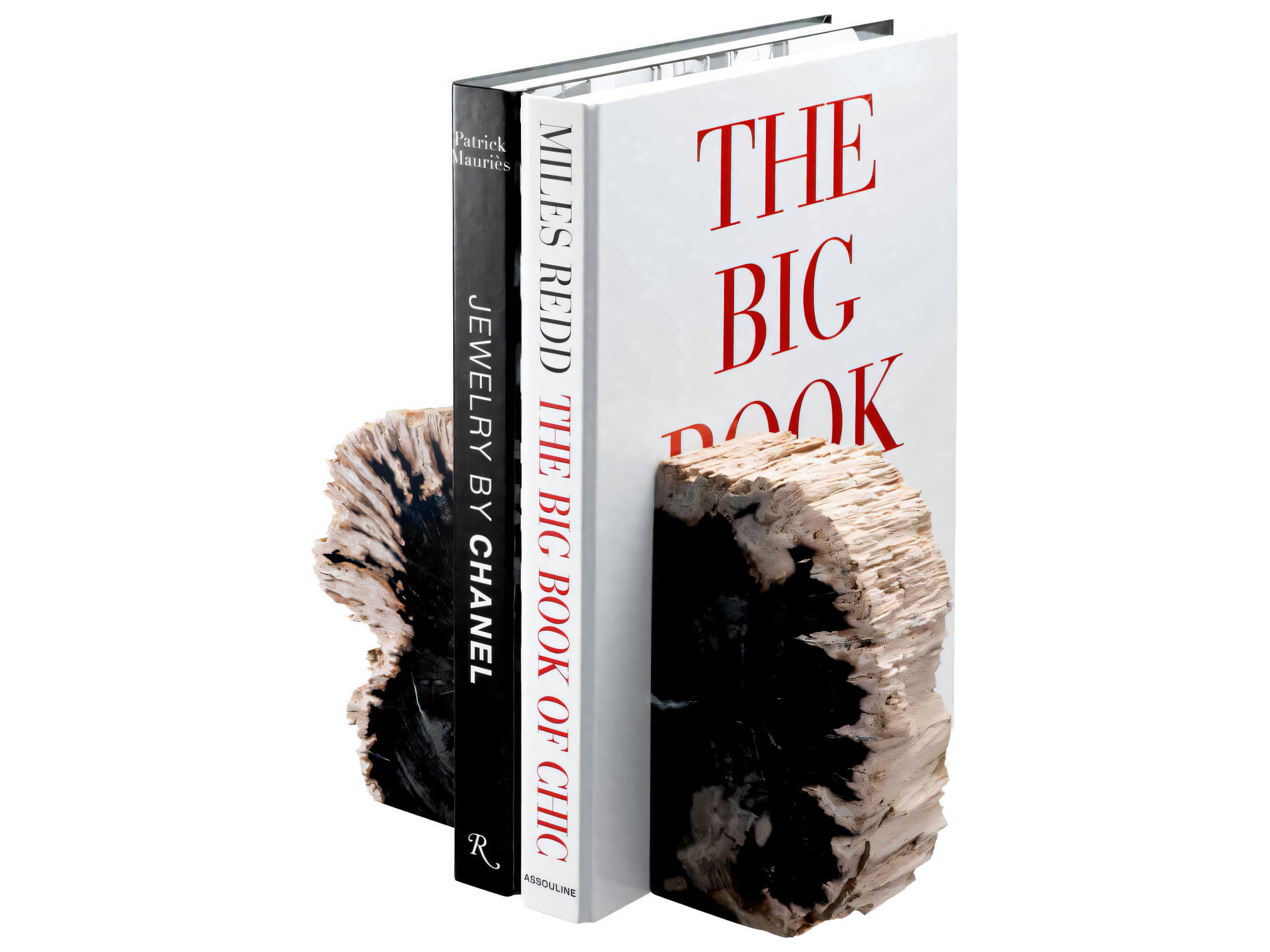 Eichholtz Opia Petrified Wood Set of 2 Bookend