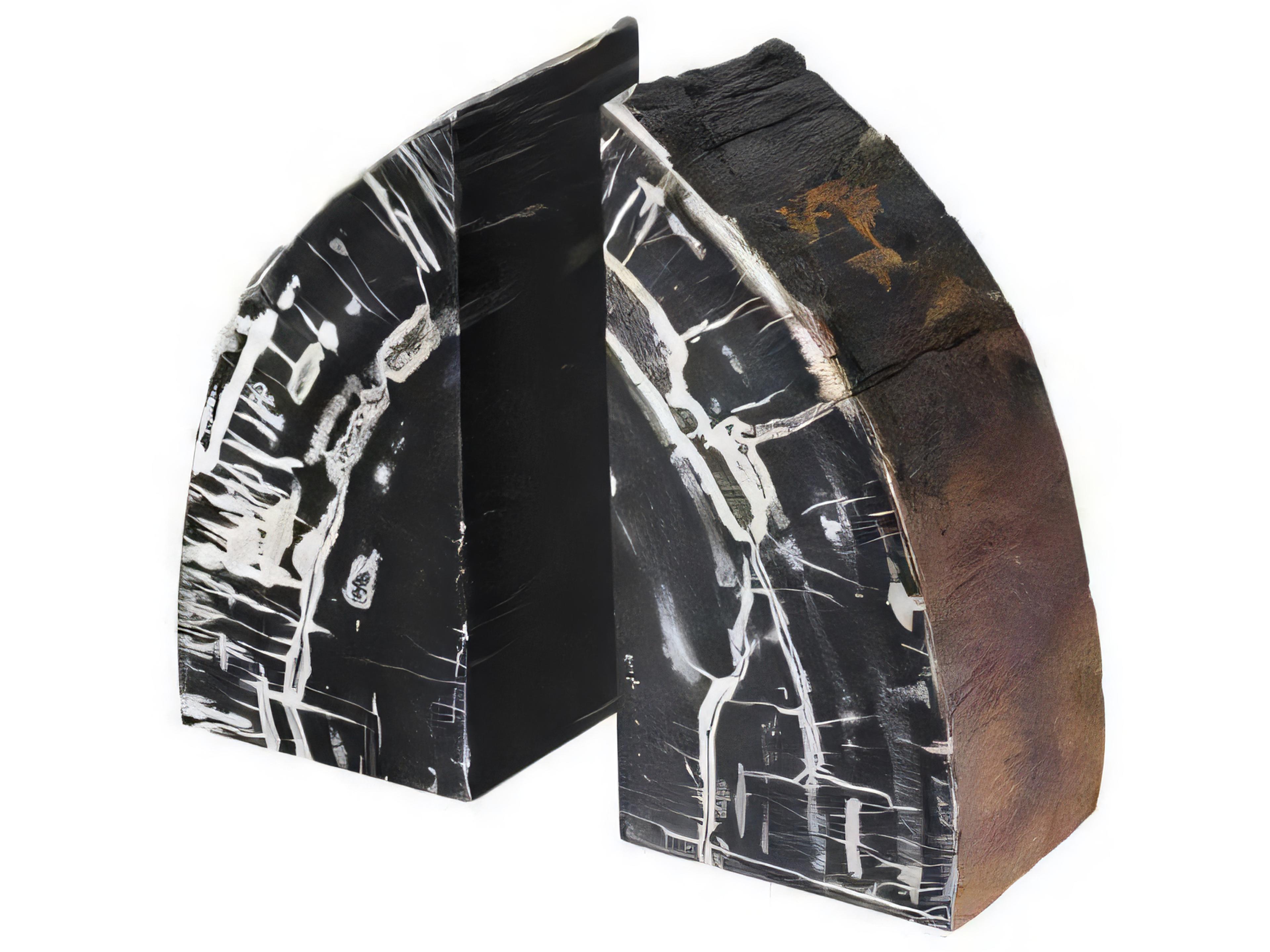 Eichholtz Opia Petrified Wood Set of 2 Bookend