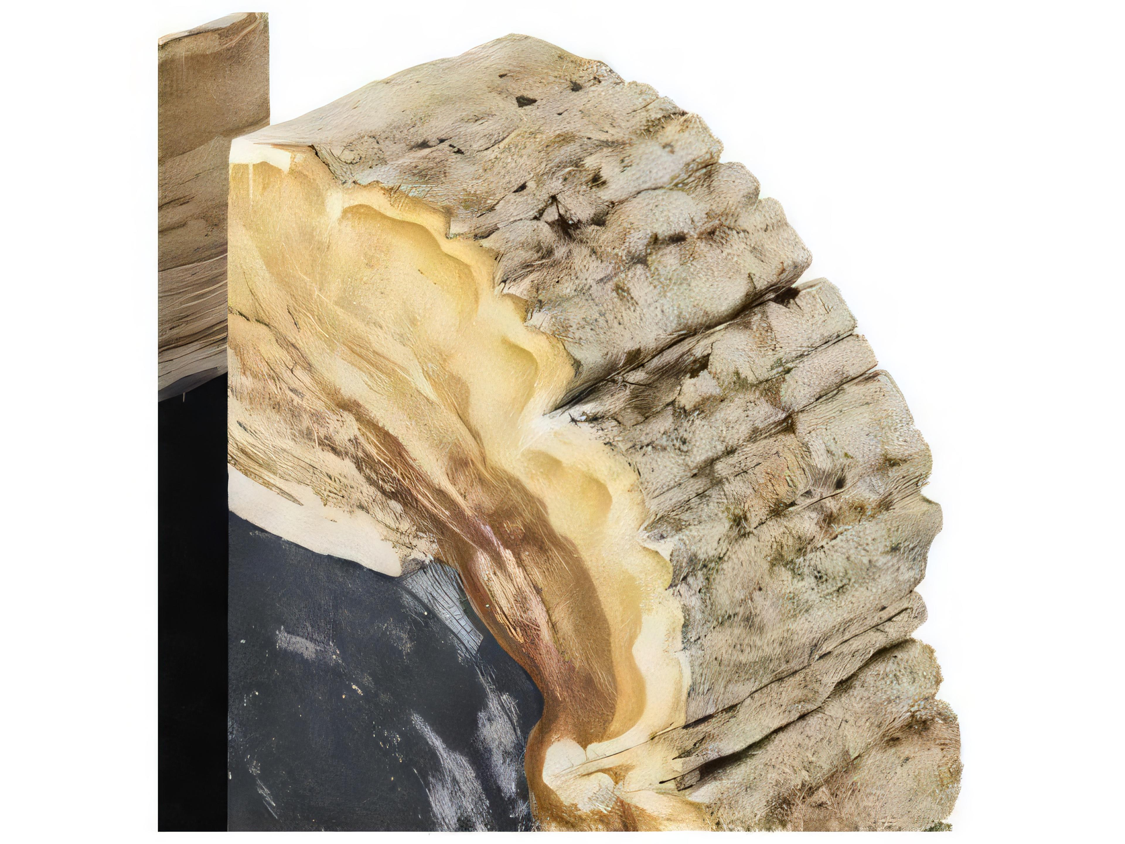 Eichholtz Opia Petrified Wood Set of 2 Bookend