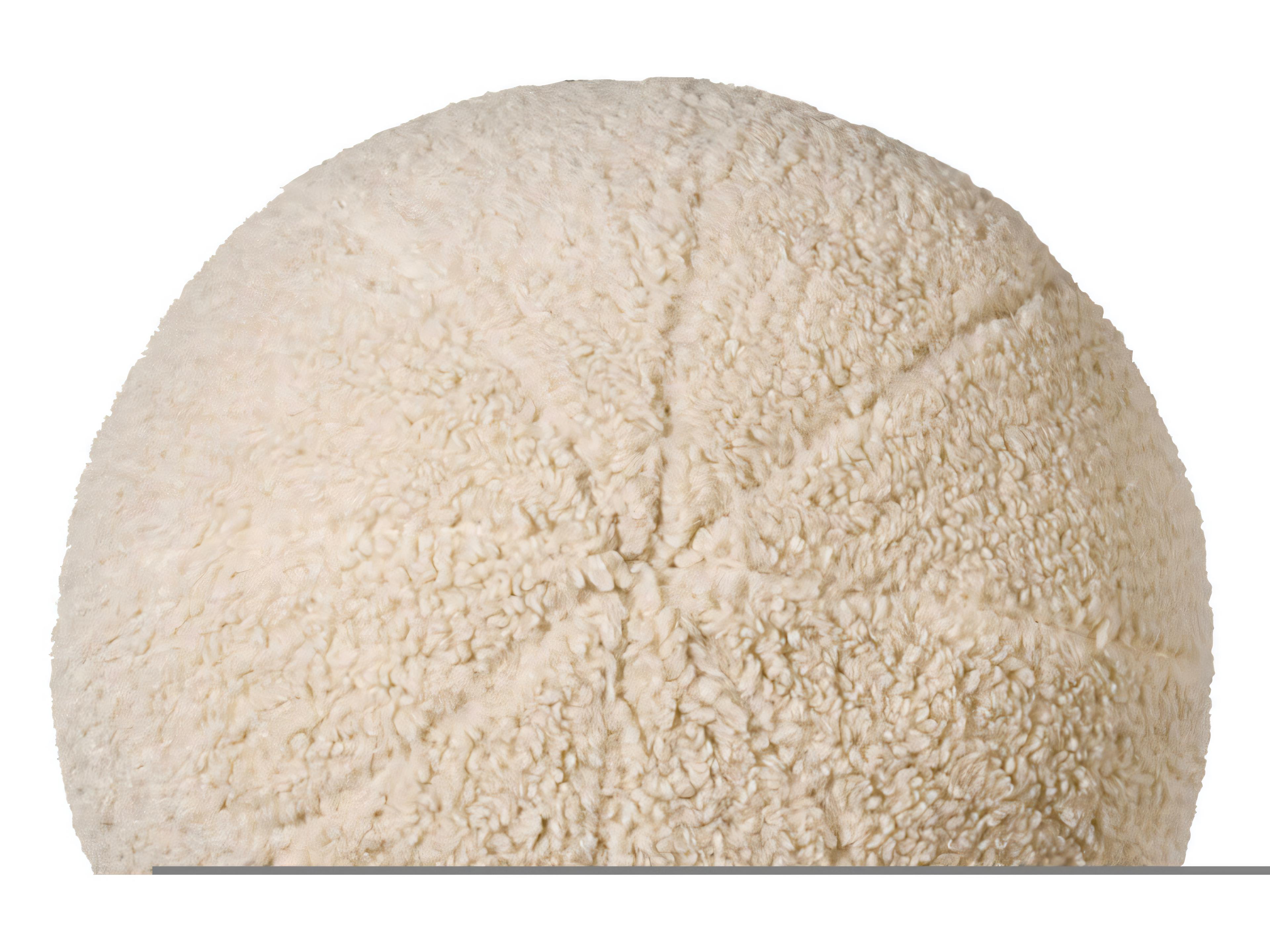 Eichholtz Palla L Brisbane Cream Cushion