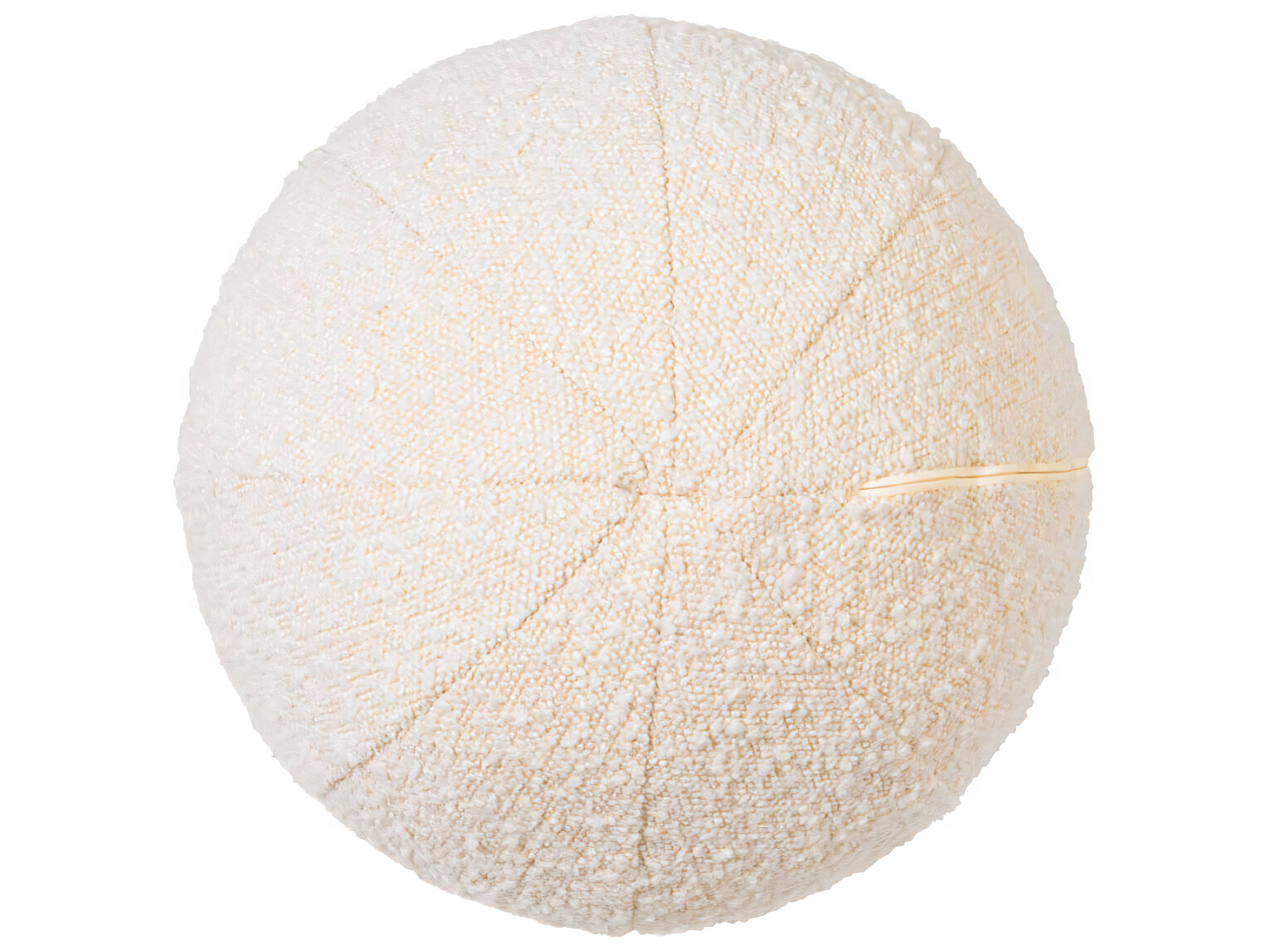 Eichholtz Palla S Boucle Cream Cushion