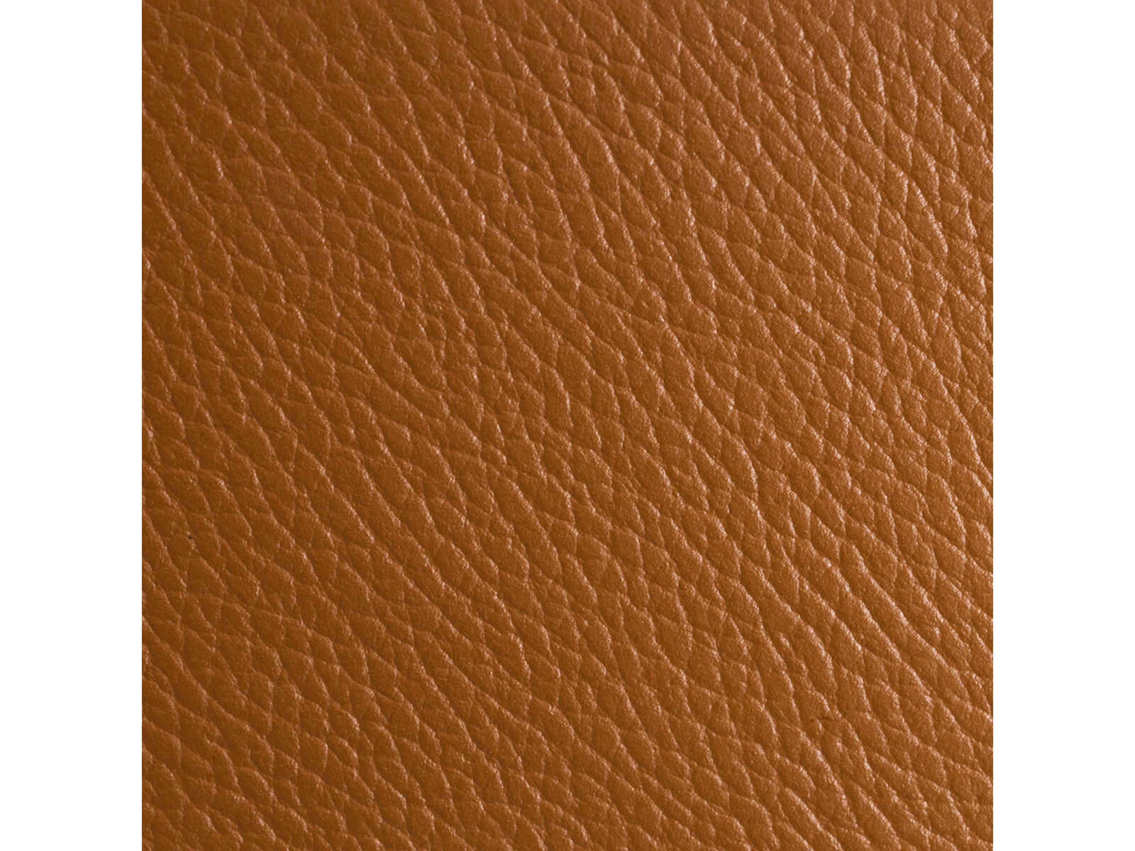 Eichholtz Monarch Brown Leather Butler Tray