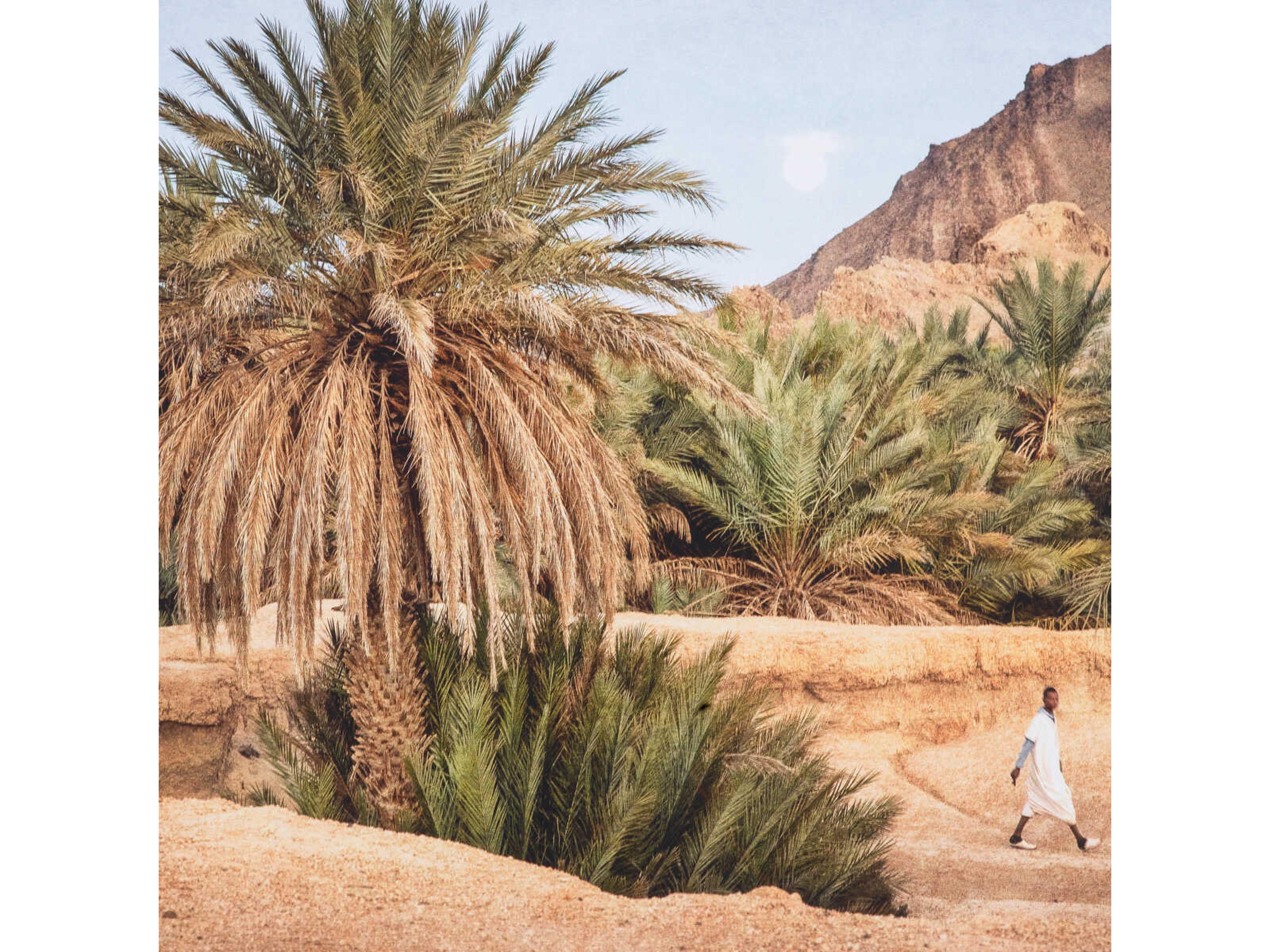 Eichholtz Print Marta Rossignol Moroccan Oasis