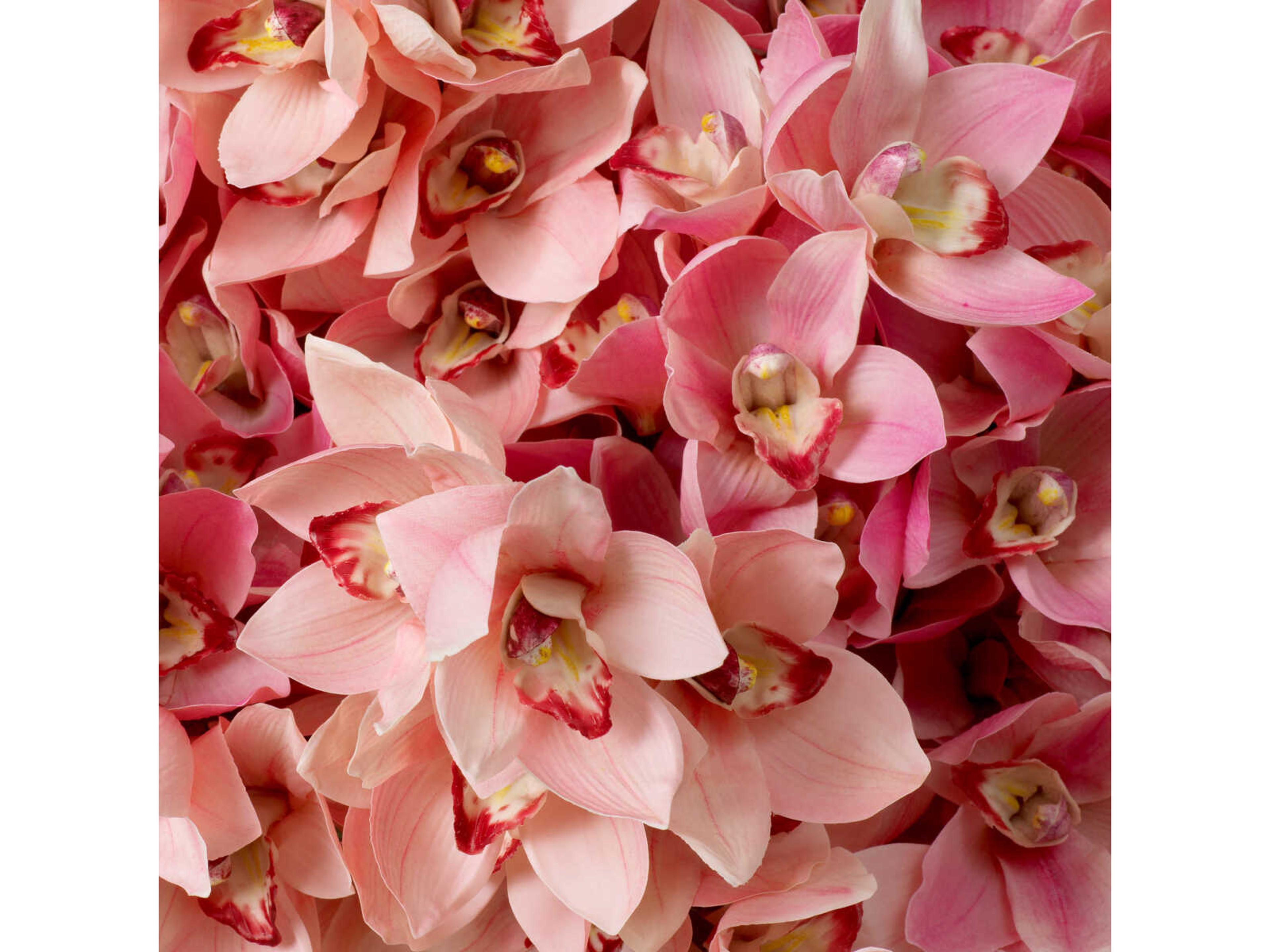 Eichholtz Cymbidium Orchids Of Pink And Peach Tones Real Touch Pcs/2Varieties Bouquet