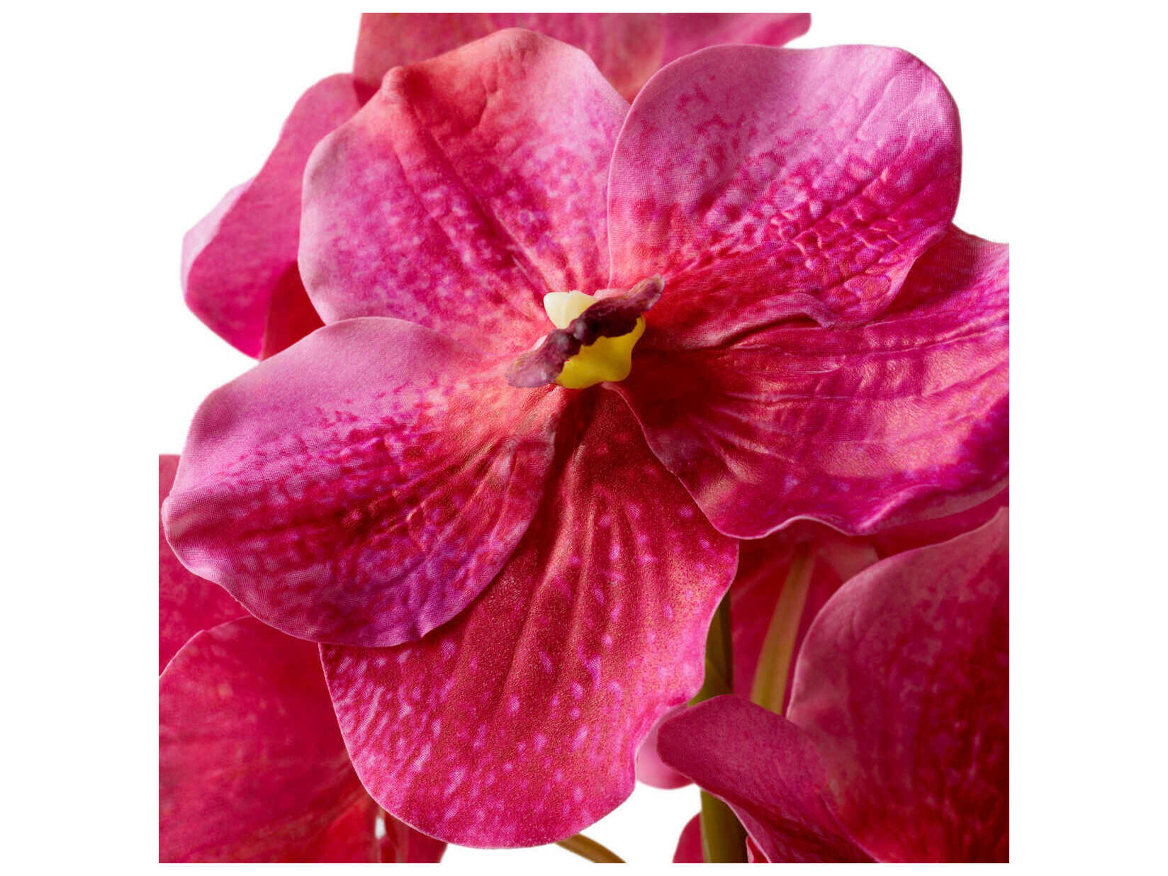 Eichholtz Vanda Orchids Of Pink Real Touch Pcs Bouquet