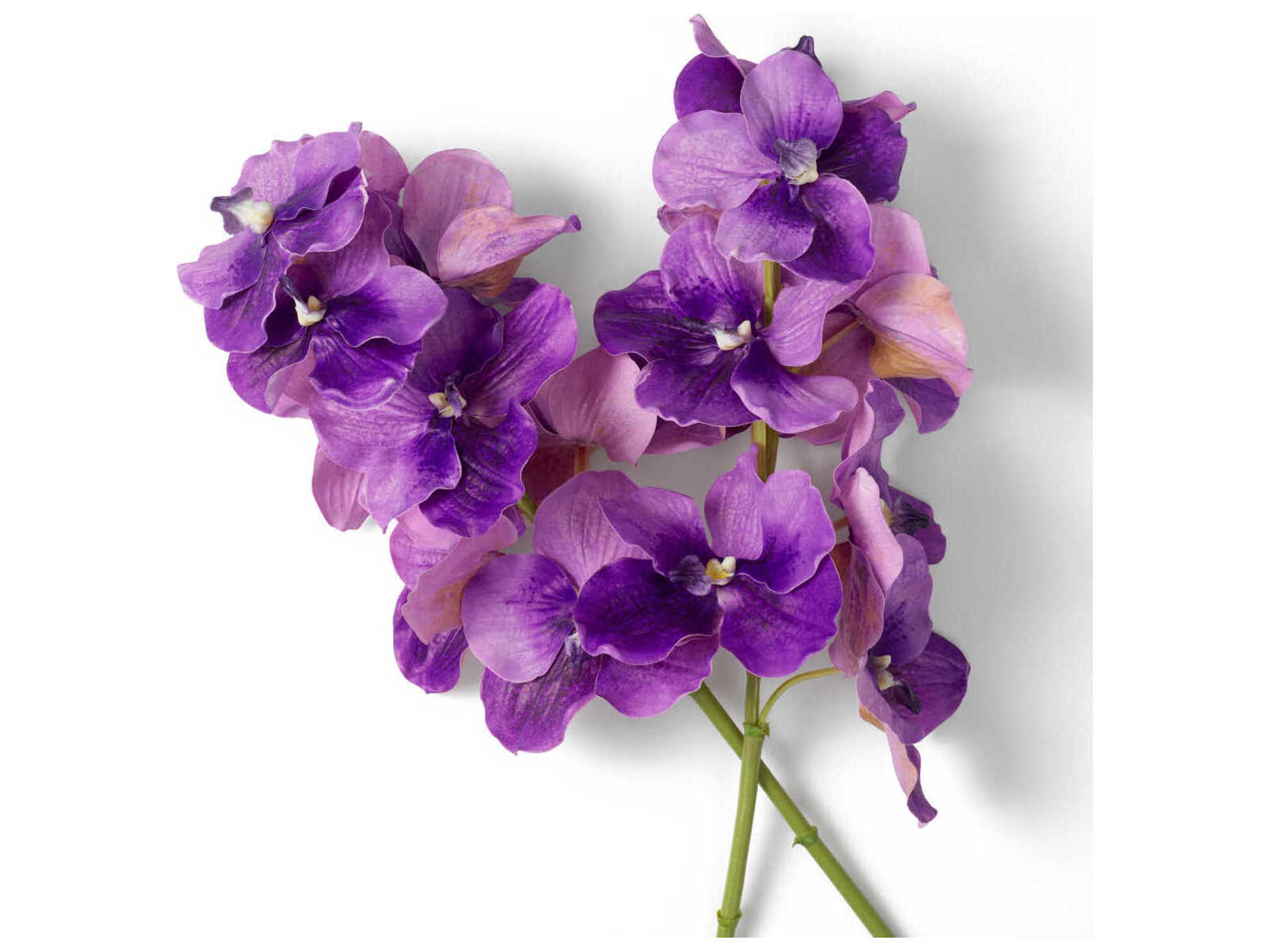 Eichholtz Vanda Orchids Of Purple Real Touch Pcs Bouquet
