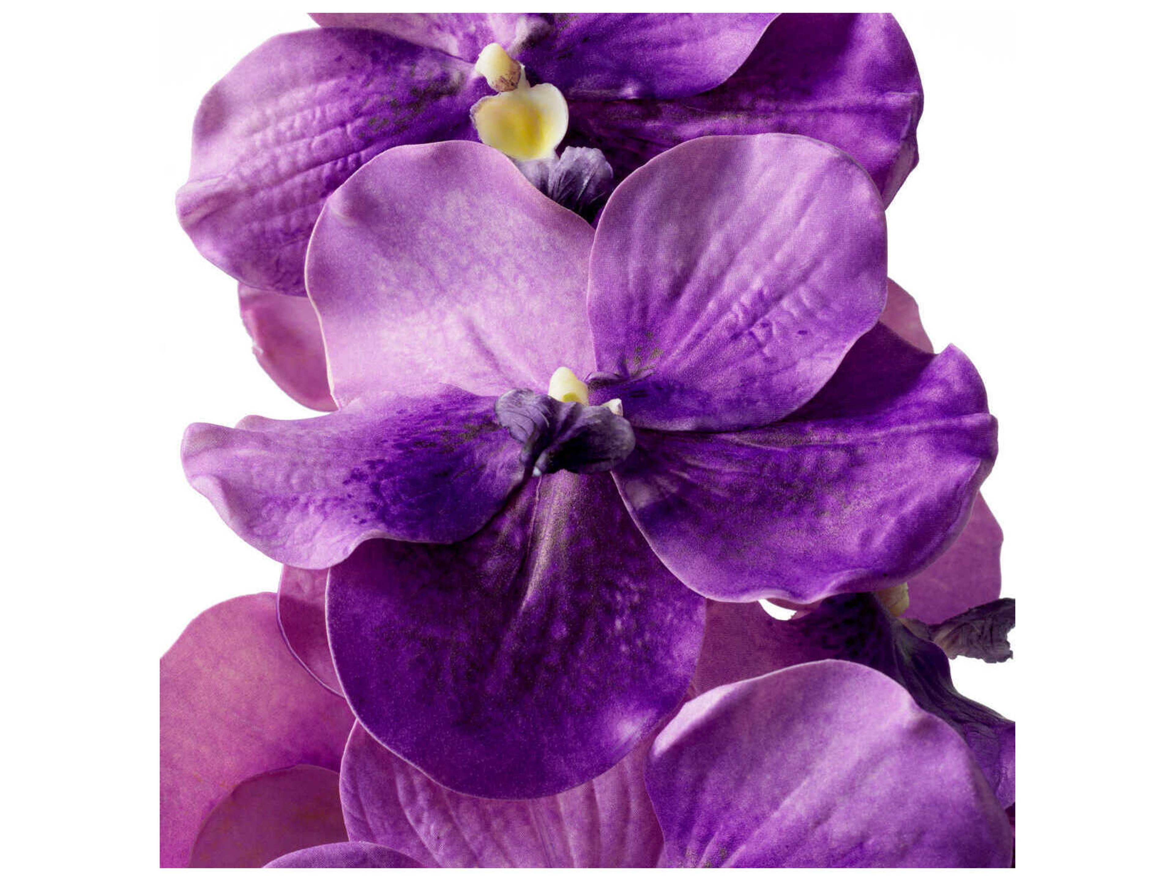 Eichholtz Vanda Orchids Of Purple Real Touch Pcs Bouquet