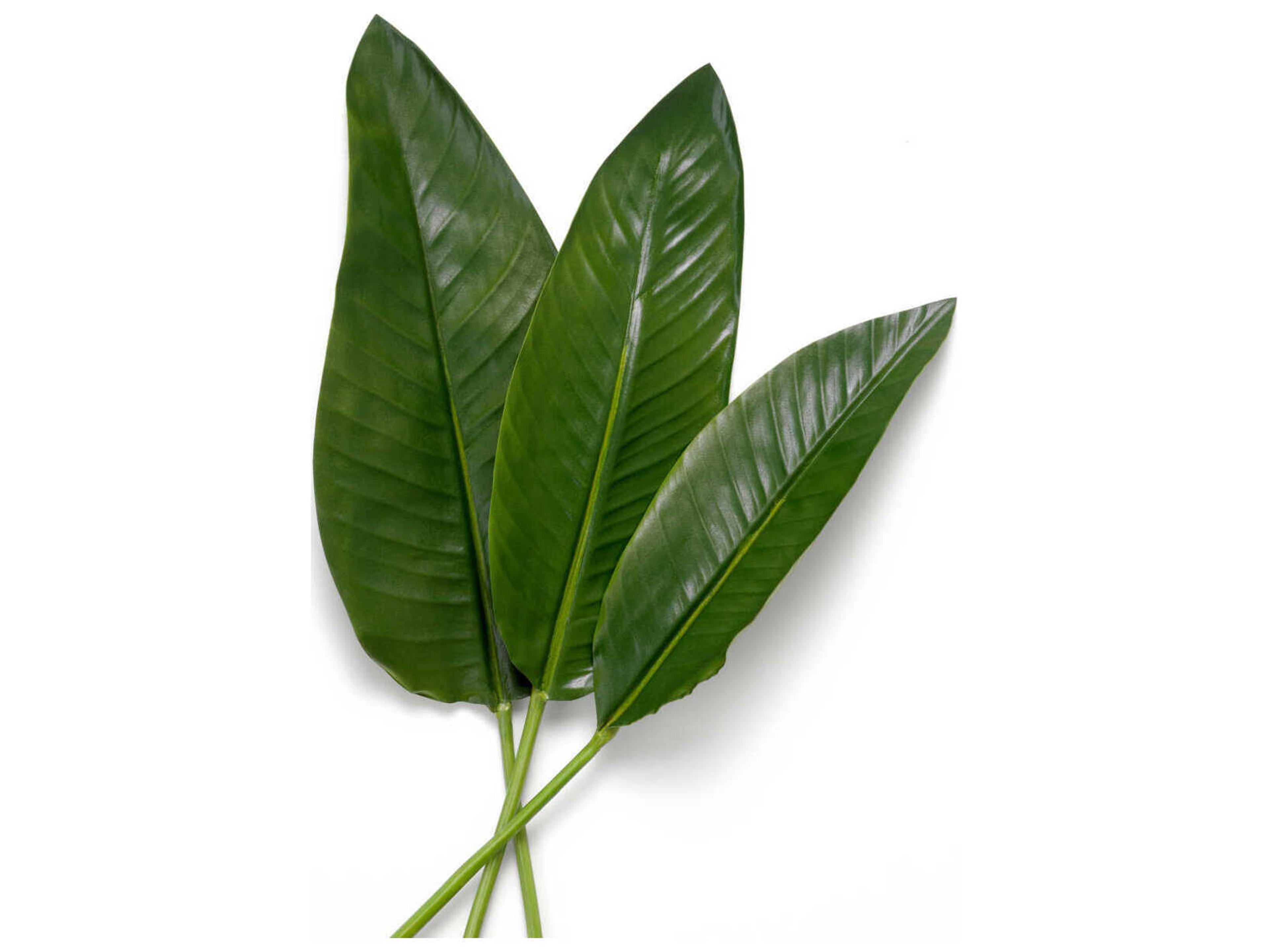 Eichholtz Strelitzia Of Leaves Pcs Bundle