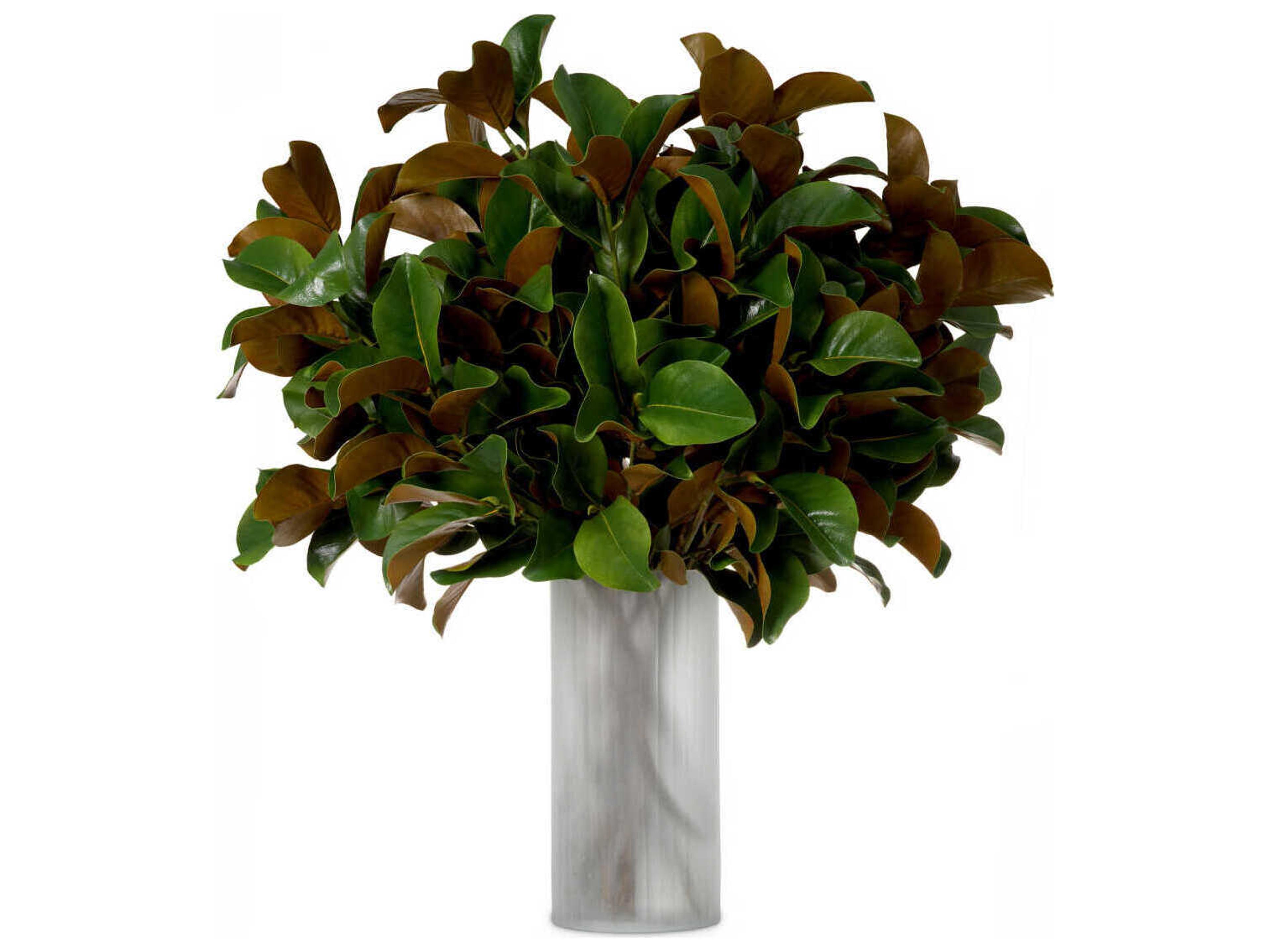 Magnolia Of Leaves Pcs Bundle