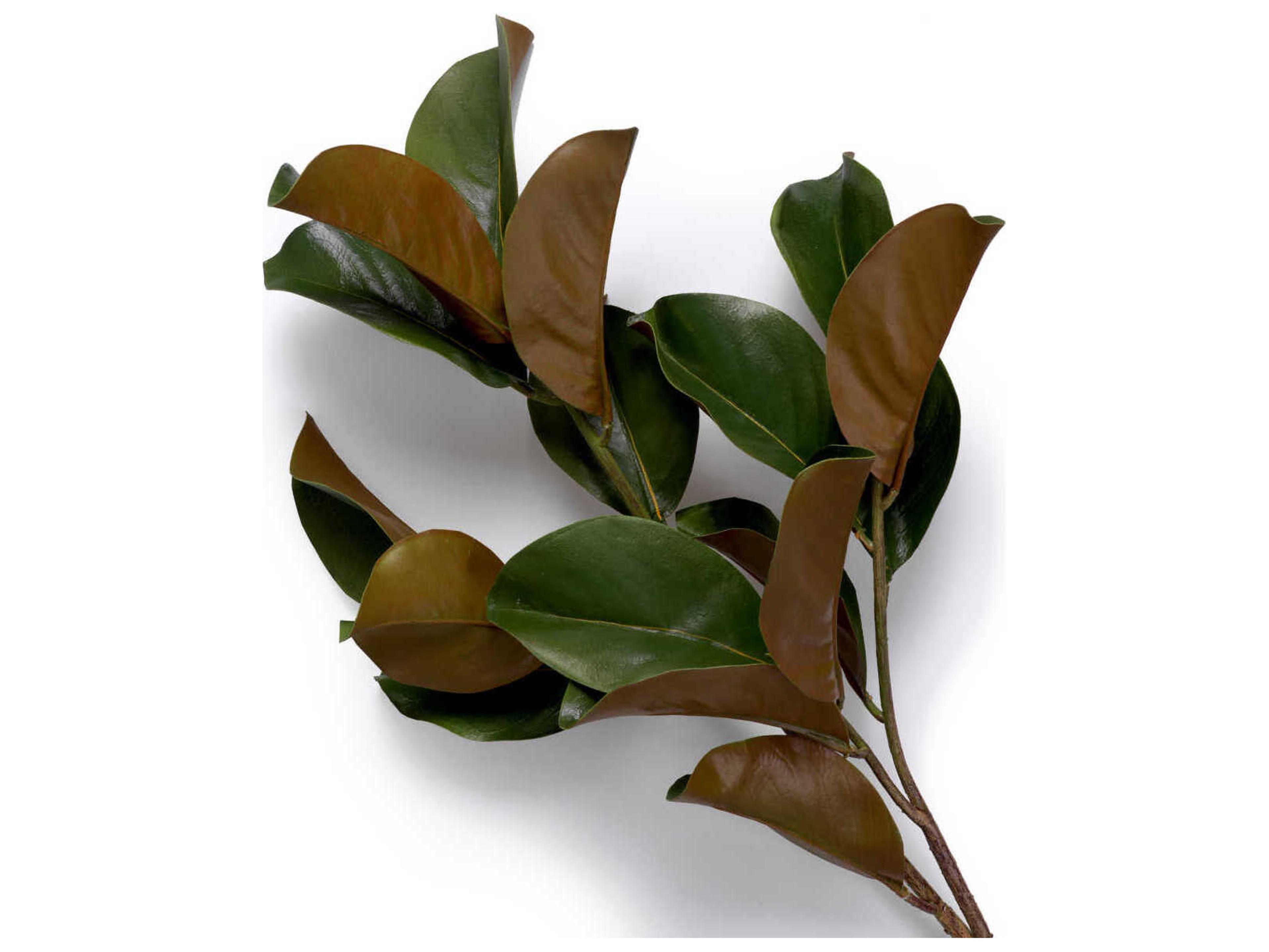 Eichholtz Magnolia Of Leaves Pcs Bundle