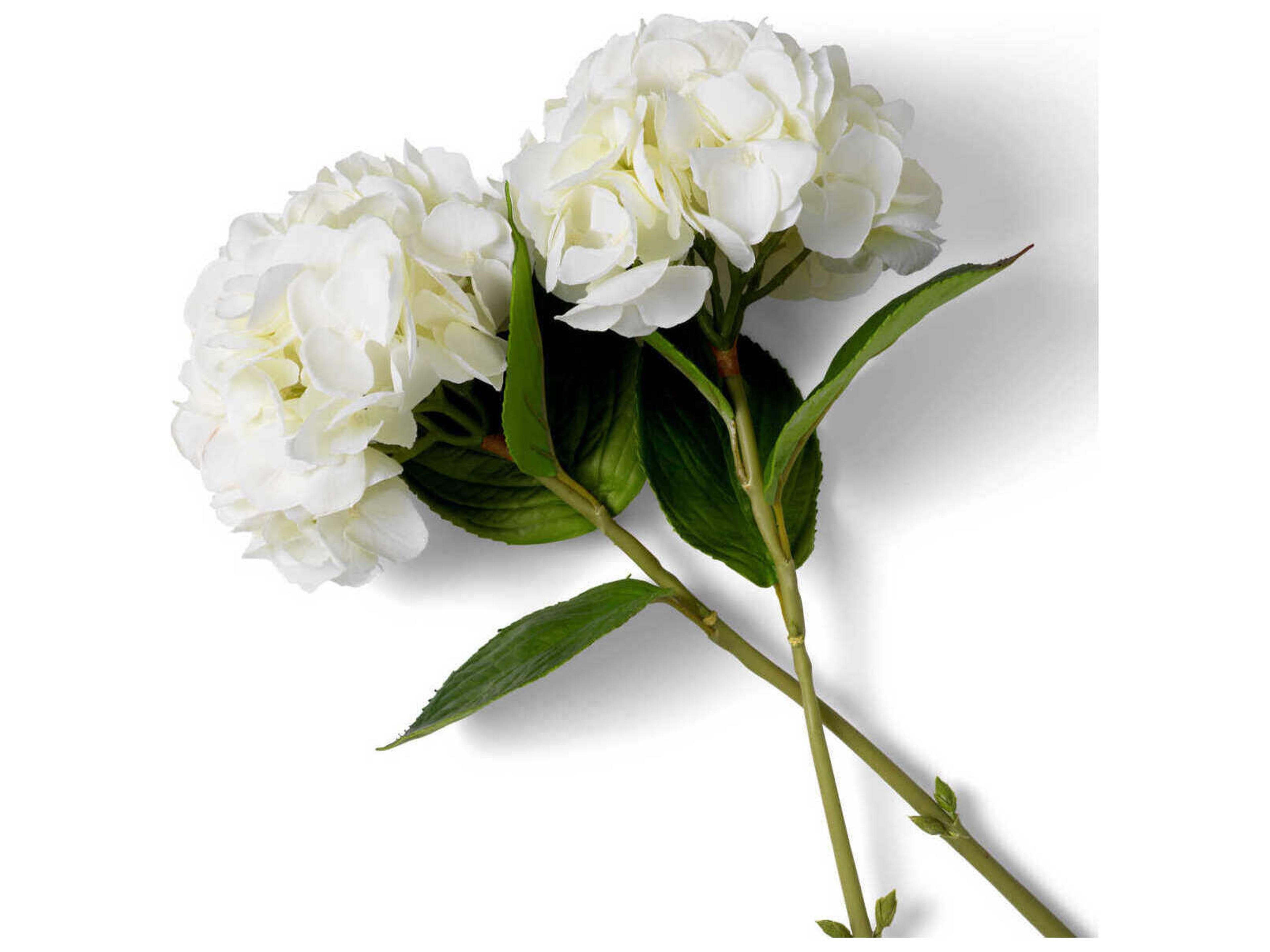 Eichholtz Hydrangeas Of White Tones Real Touch Pcs/2 Varieties Bouquet