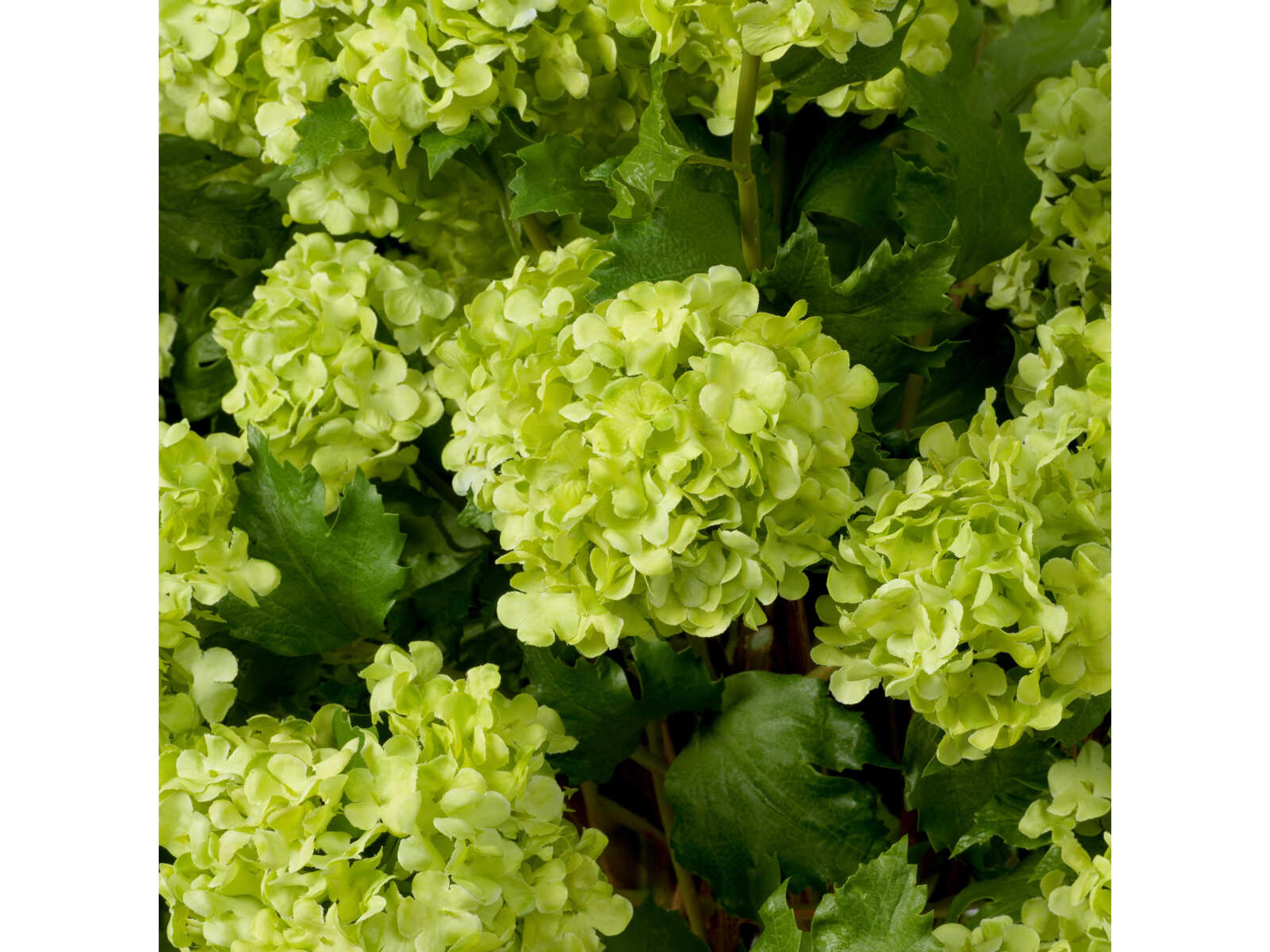 Eichholtz Hydrangeas Of Snowball Green Real Touch Pcs Bouquet